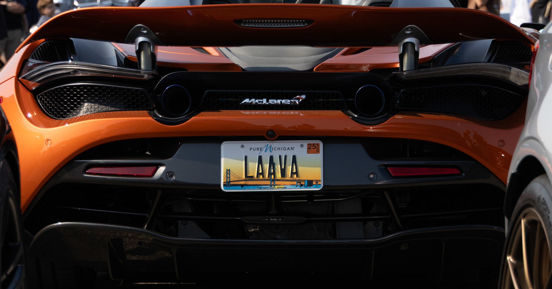 I just love the framing in this photo