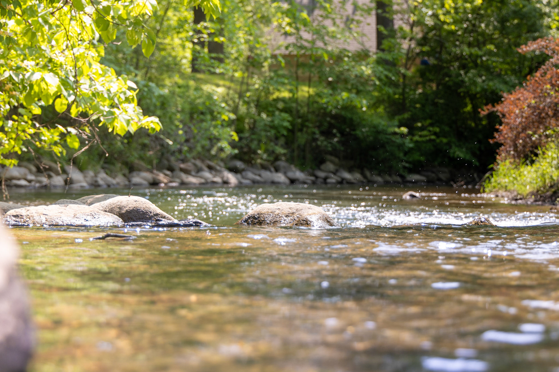 Idk I was just facinated with this rock