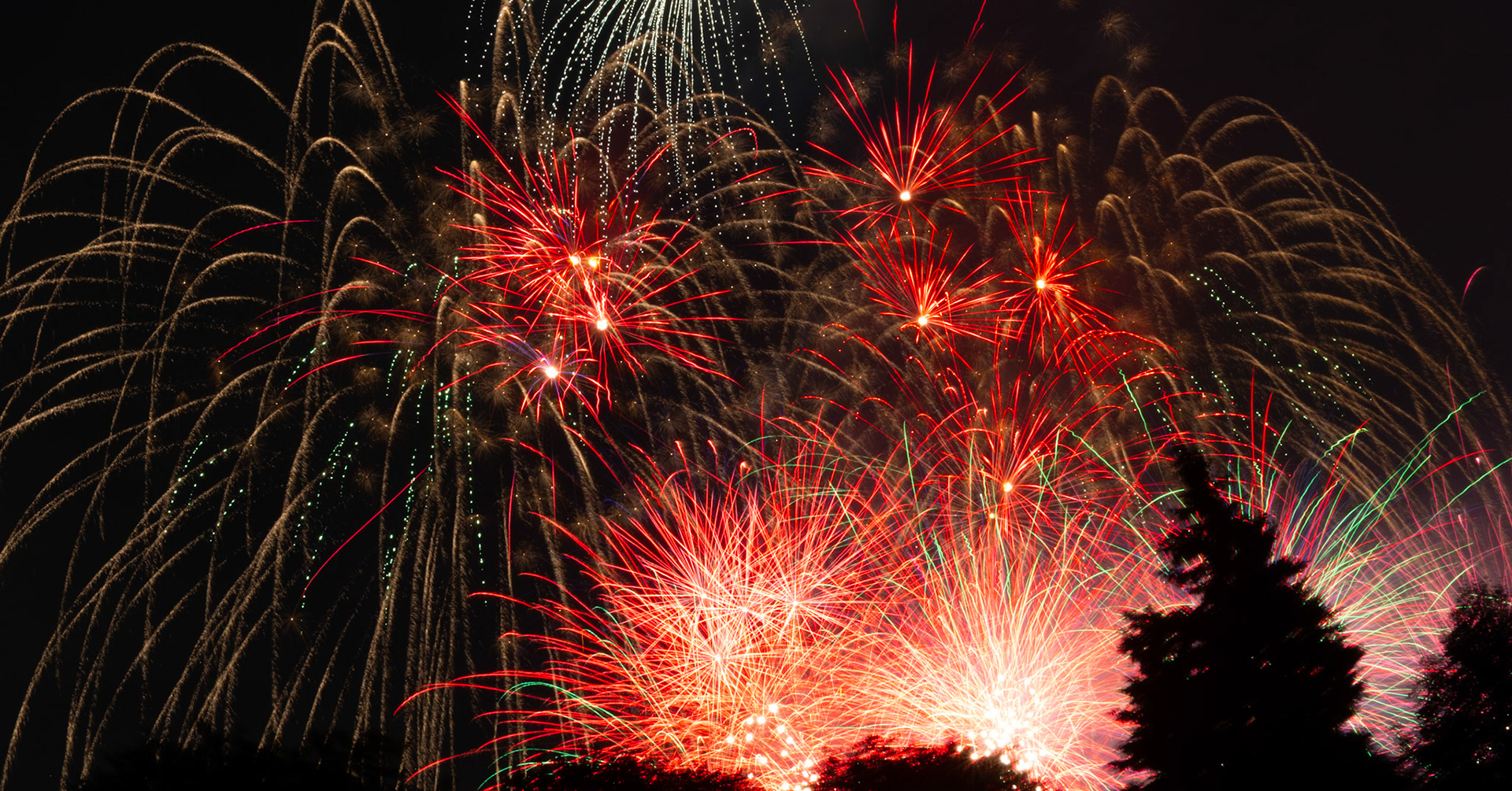 Just taking it all in