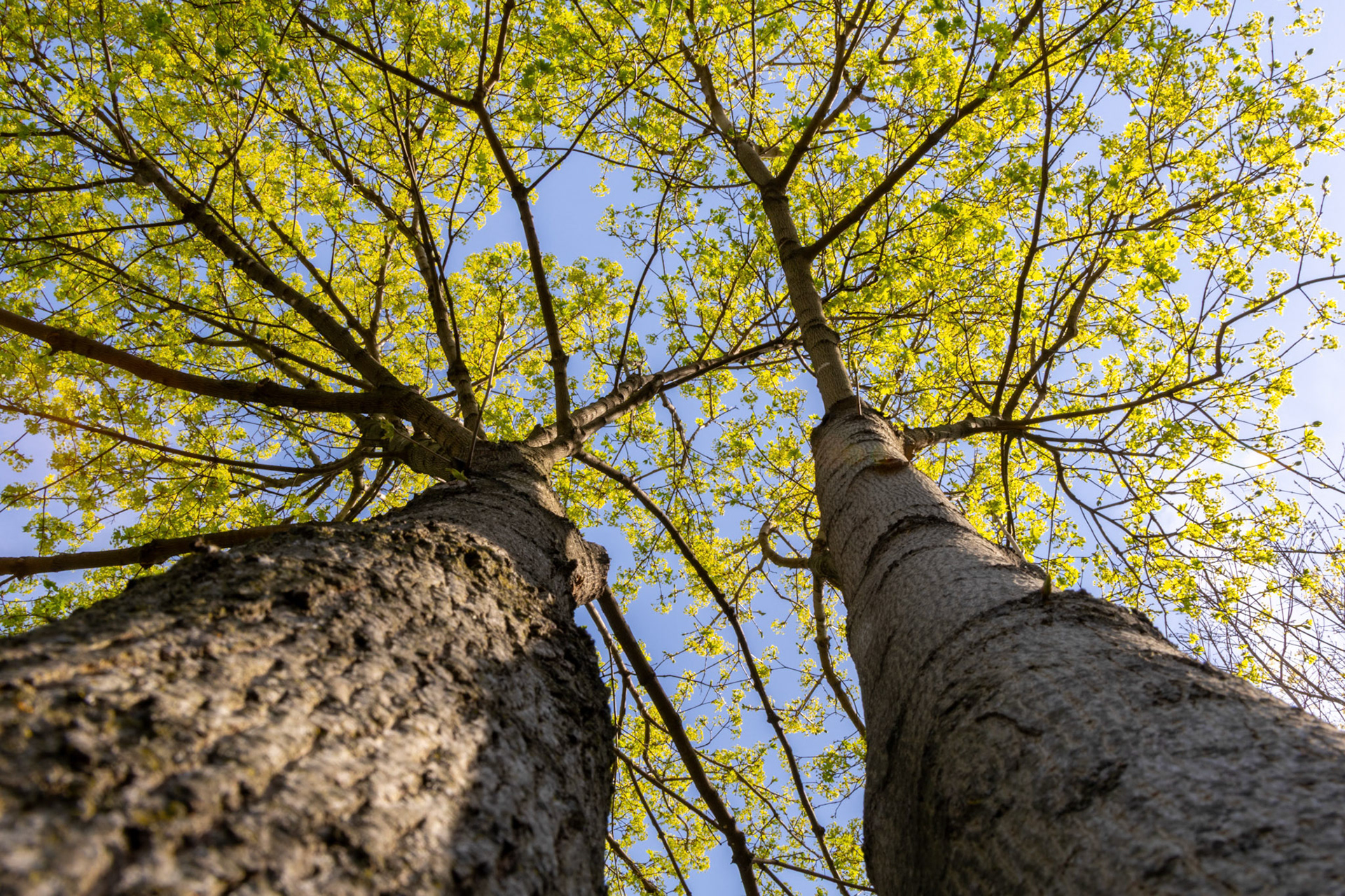 Started messing with leading lines concept