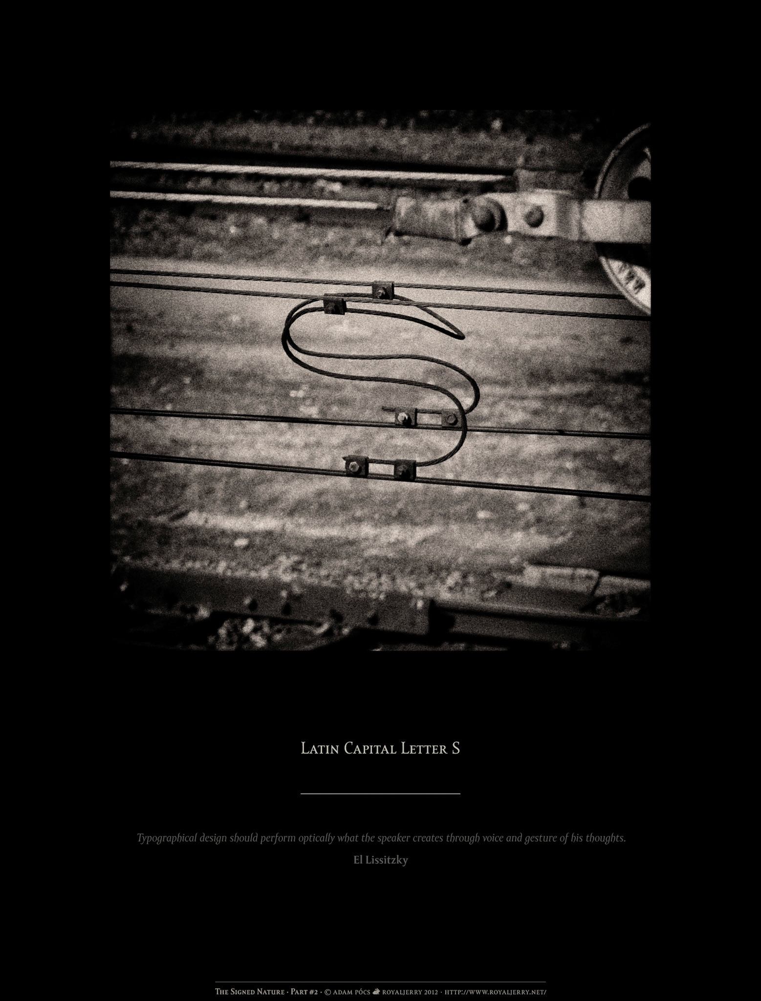 LATIN CAPITAL LETTER S [U+0053]. Part of project “The Signed Nature” [RJ 0036+]: Typographic poster designs with photos of letters.