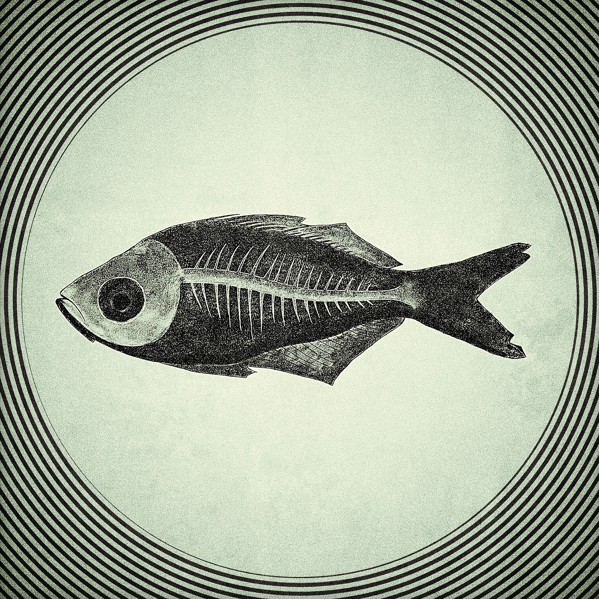 Static #2. Part of project “Immaginarium” [RJ 0079]: Some illustrations about unique animals.