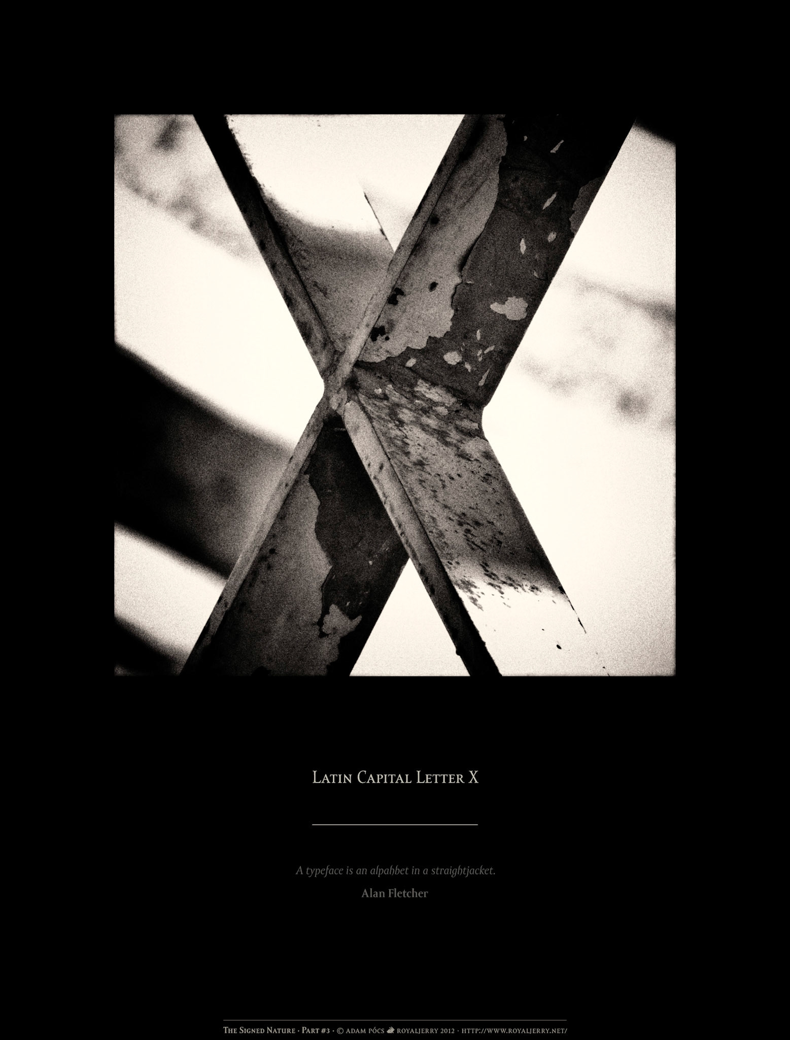 LATIN CAPITAL LETTER X [U+0058]. Part of project “The Signed Nature” [RJ 0036+]: Typographic poster designs with photos of letters.