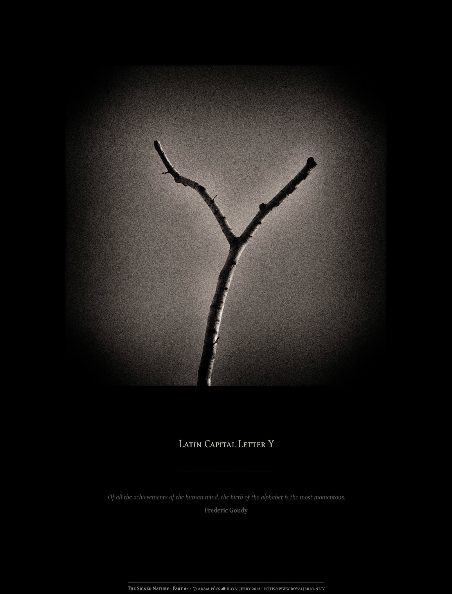 LATIN CAPITAL LETTER Y [U+0059]. Part of project “The Signed Nature” [RJ 0036+]: Typographic poster designs with photos of letters.