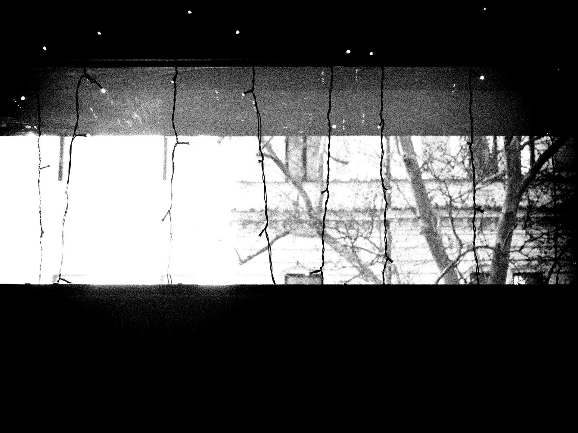 Sweet December. Part of project “Shape of Things” [RJ 0051]: Photo series about abstract shapes.