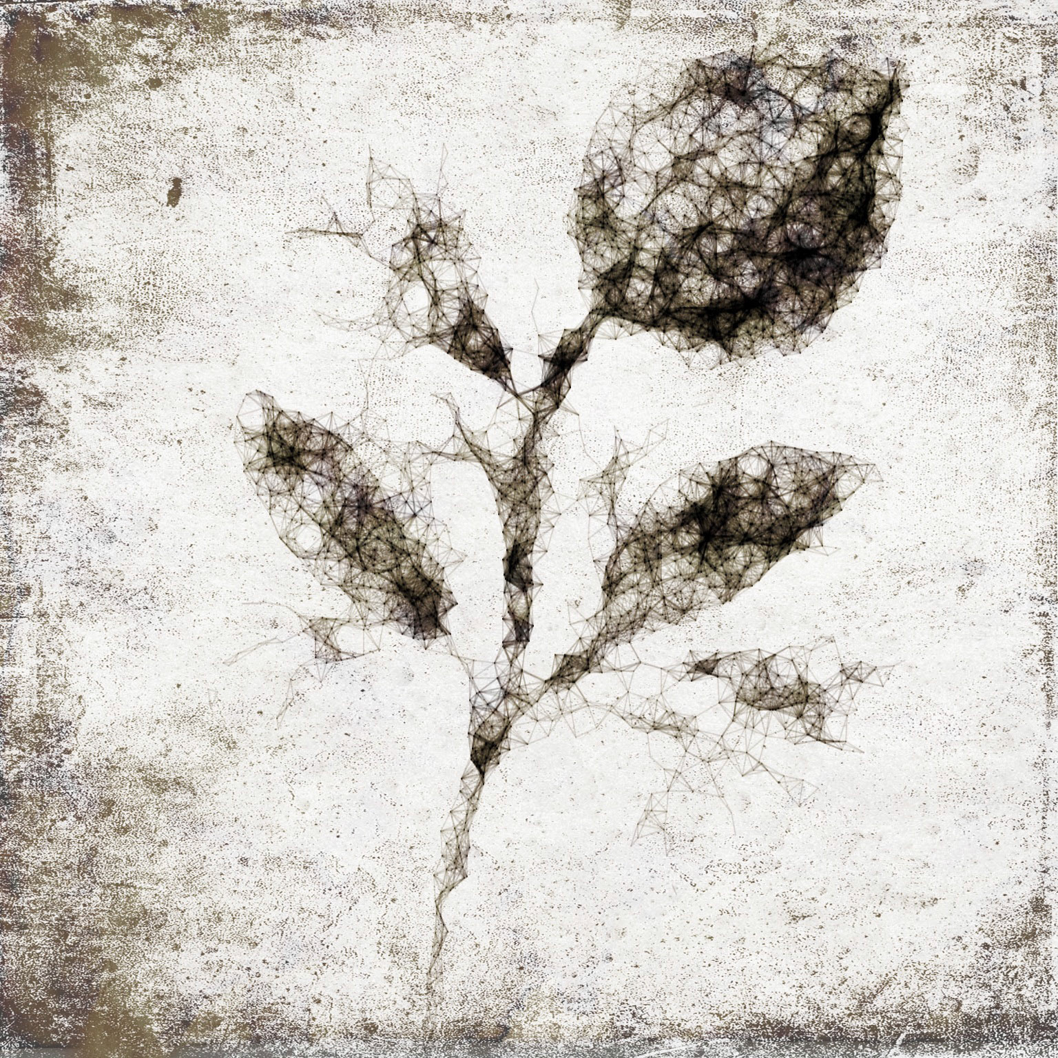 Flowa’. Part of project “Unsharping the Pen” [RJ 0065]: Various hand-drawn graphics.