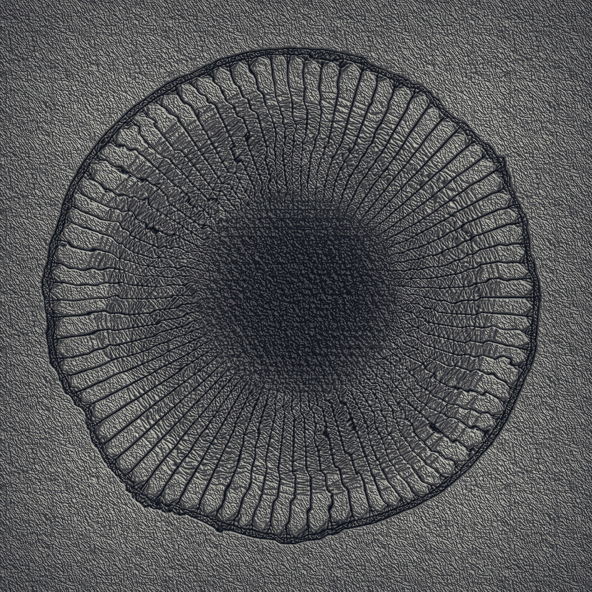 Cellular. Part of project “Circles and Balls” [RJ 0070]: Various graphics featuring spheres and circle shaped objects.