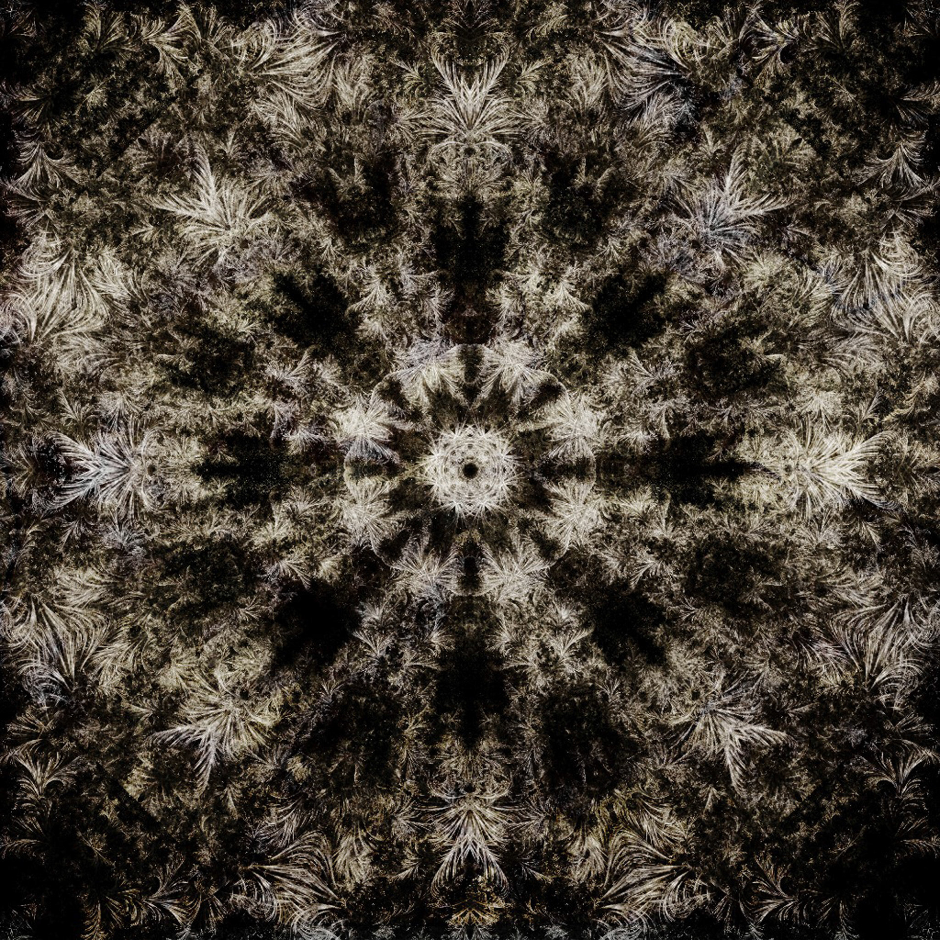 The Bushwheel. Part of project “It Curves” [RJ 0048]: Various graphics featuring curved lines.