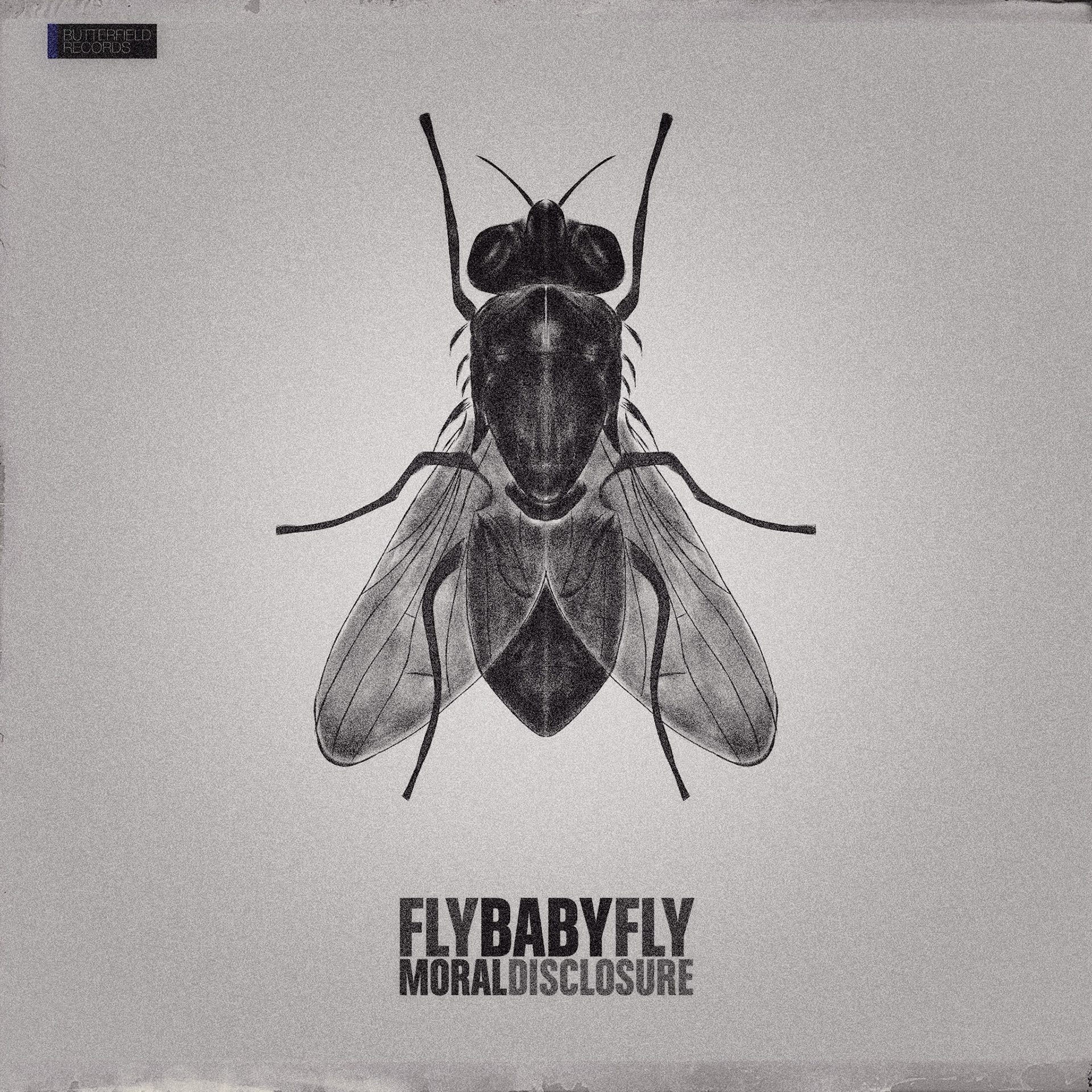 Fly Baby Fly: Moral Disclosure. Part of project “Immaginarium” [RJ 0079]: Some illustrations about unique animals.