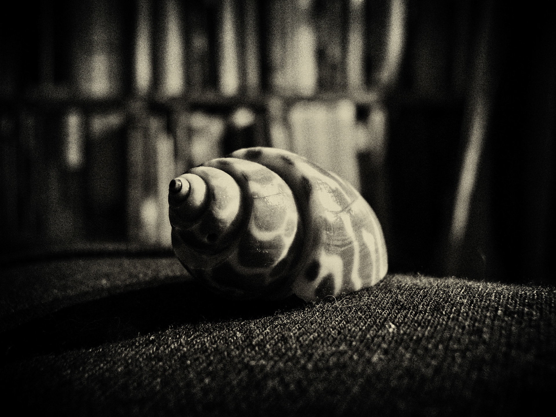 Good Evening, Mr. Borges! Part of project “Into the Labyrinth” [RJ 0035]: Photo series about mysterious objects.