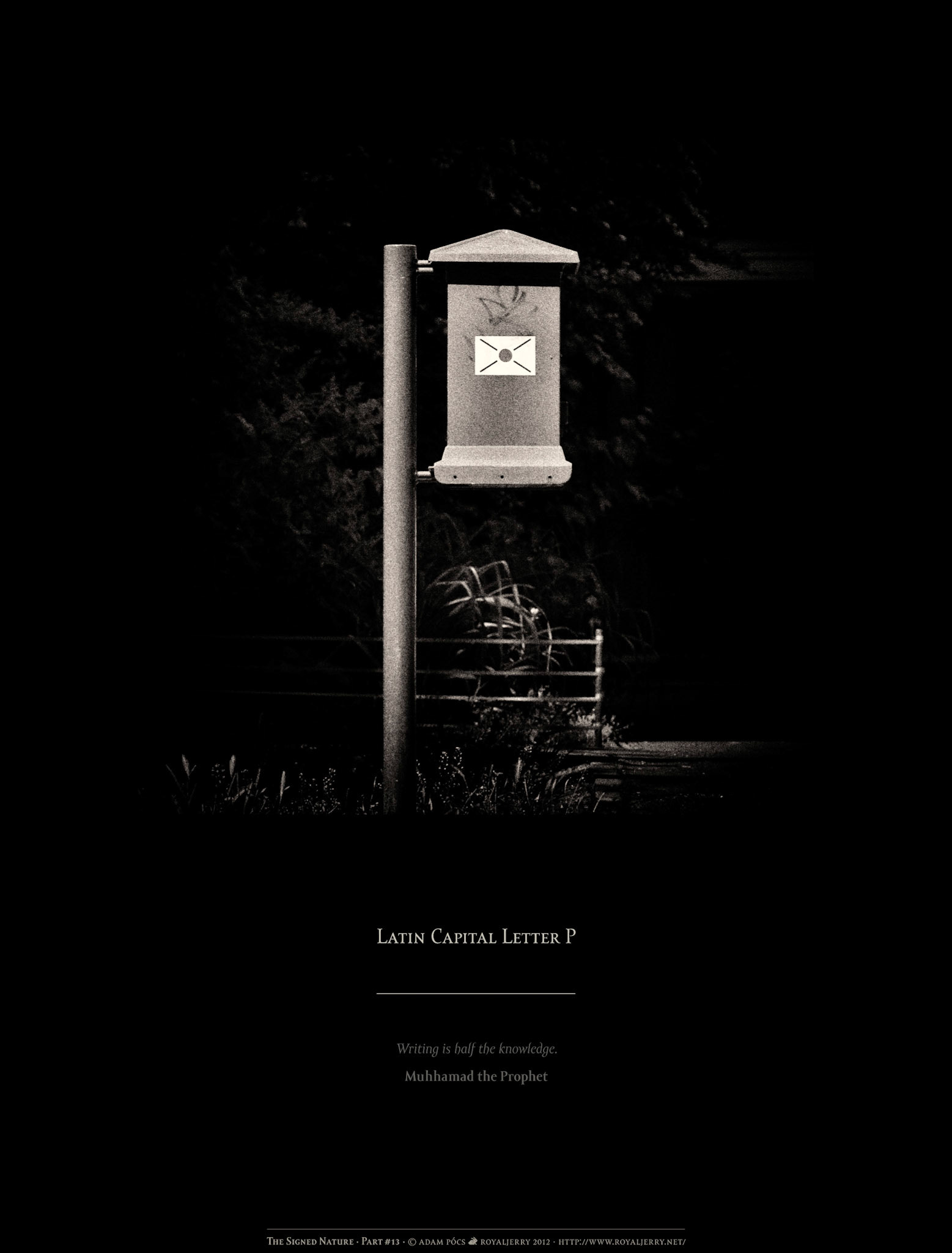 LATIN CAPITAL LETTER P [U+0050]. Part of project “The Signed Nature” [RJ 0036+]: Typographic poster designs with photos of letters.