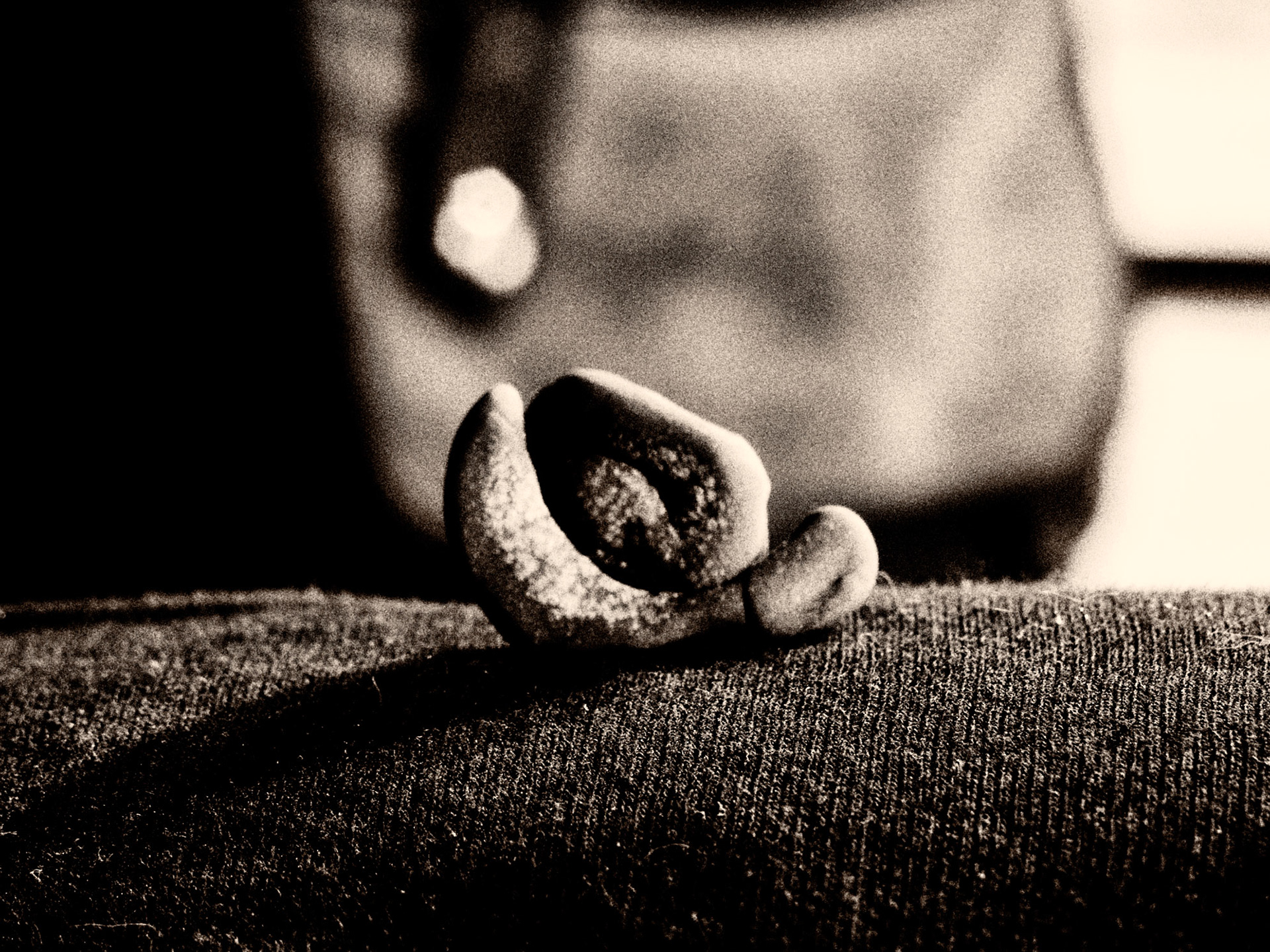 Good Evening, Mr. Eco! Part of project “Into the Labyrinth” [RJ 0035]: Photo series about mysterious objects.