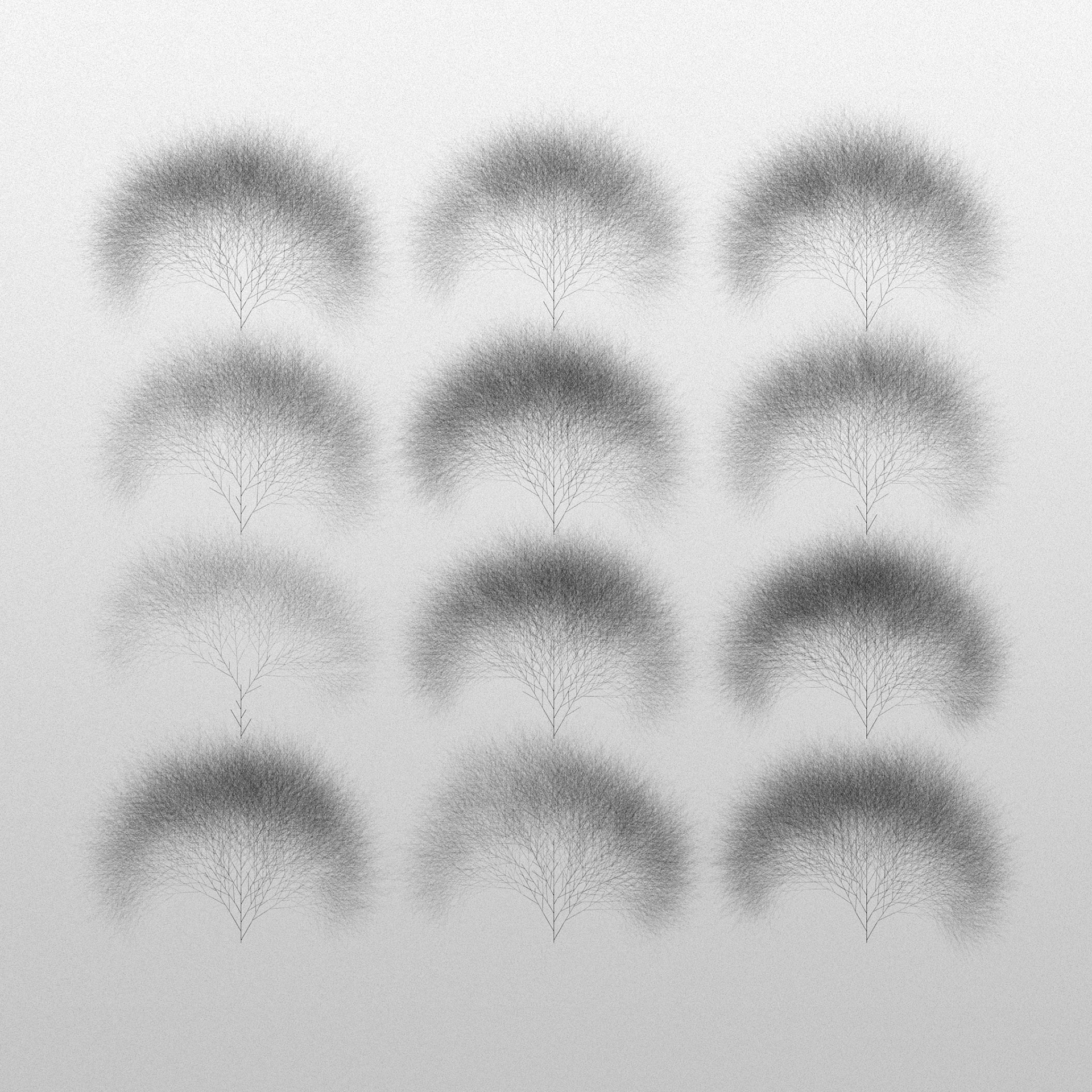 12 Trees. Part of project “Vegetative” [RJ 0077]: Experimental generative ornamental drawings.