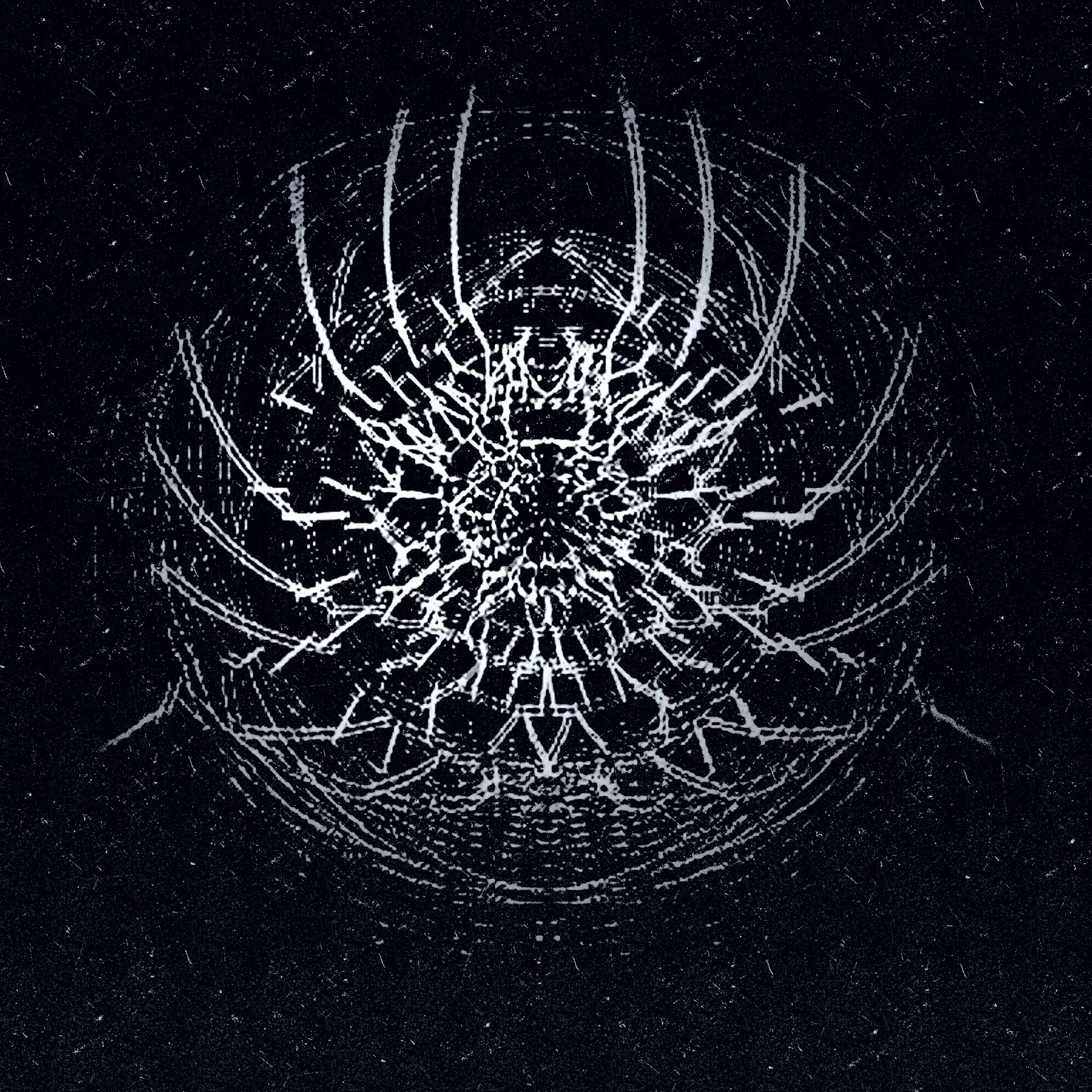 Vacuum Spider. Part of project “It Curves” [RJ 0048]: Various graphics featuring curved lines.
