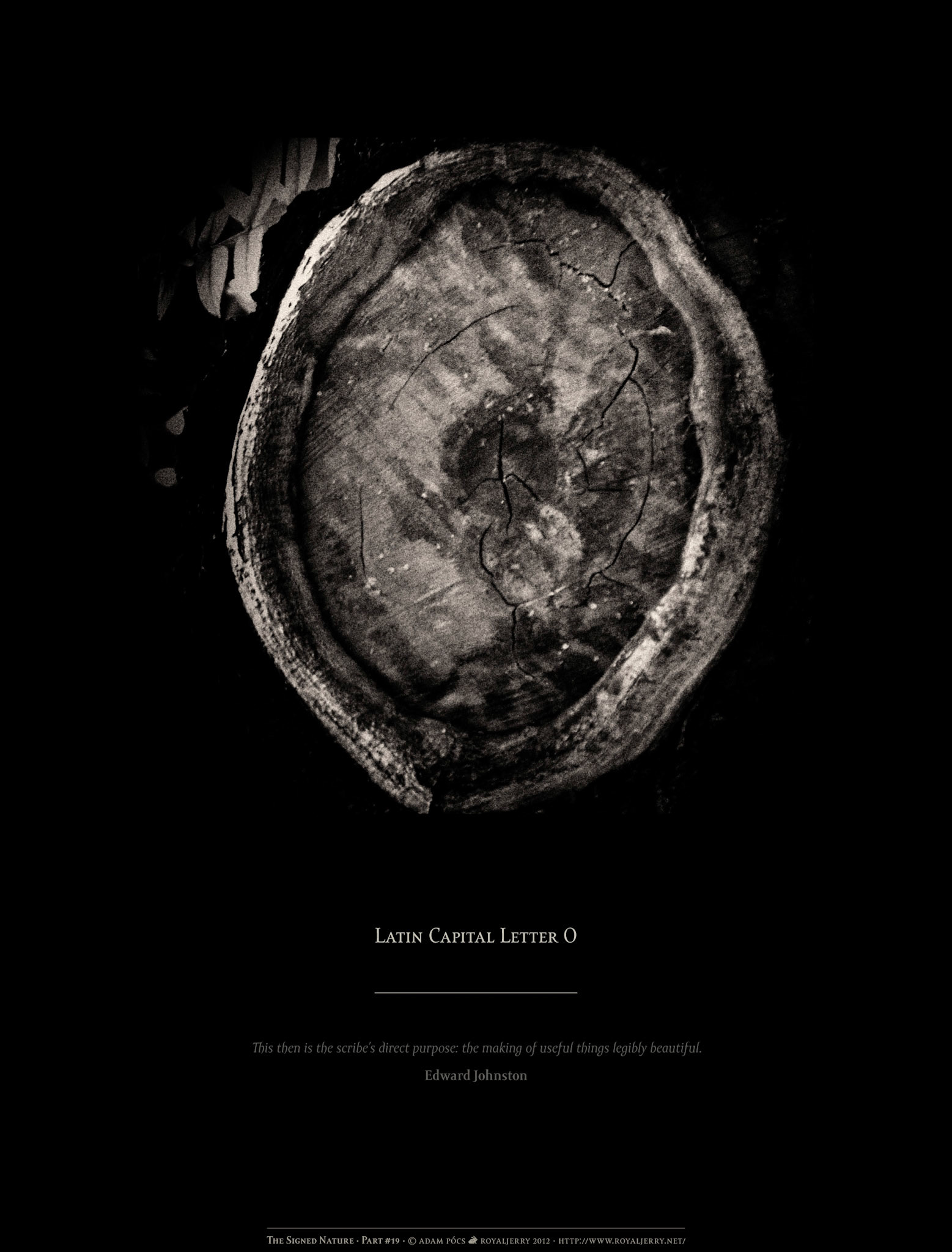 LATIN CAPITAL LETTER O [U+004F]. Part of project “The Signed Nature” [RJ 0036+]: Typographic poster designs with photos of letters.