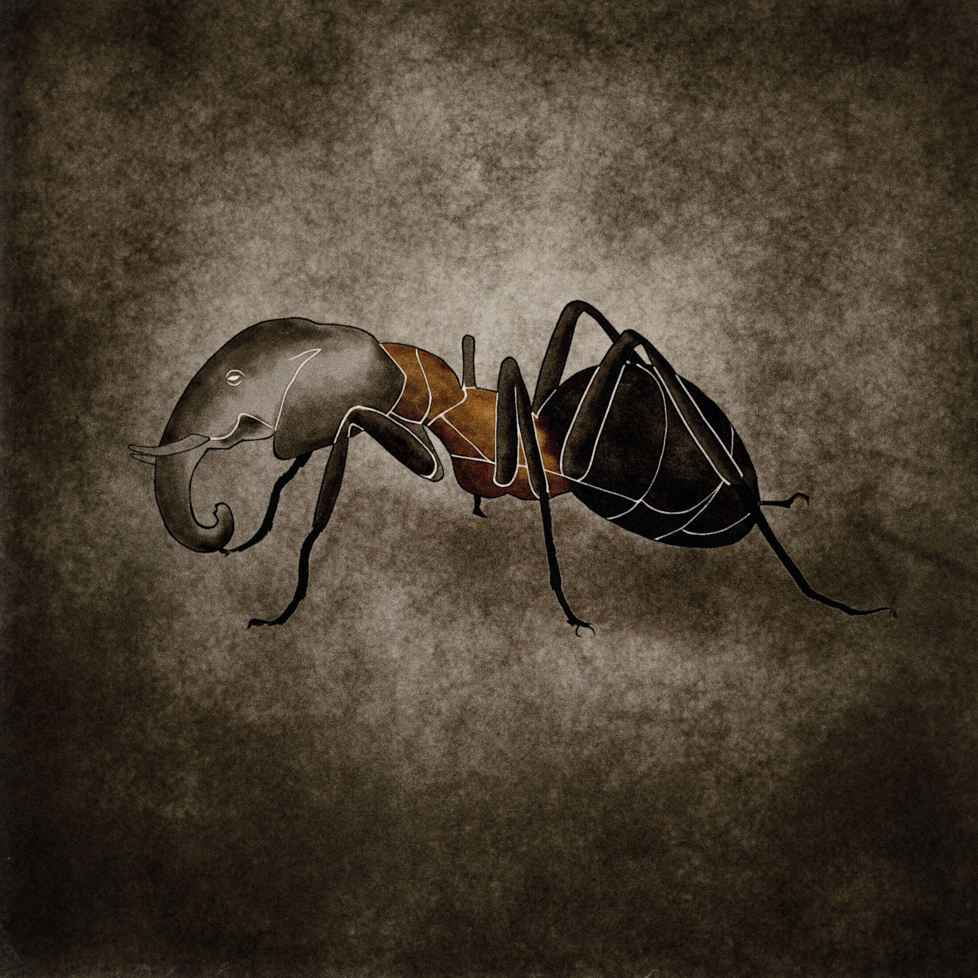 The Eleph Ant. Part of project “Immaginarium” [RJ 0079]: Some illustrations about unique animals.