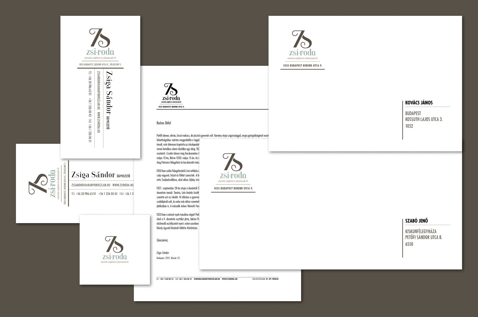 Full identity guide in color (Positive version). Part of project “Zsi-Roda” [RJ 0041]: Identity guide for a small Hungarian company.