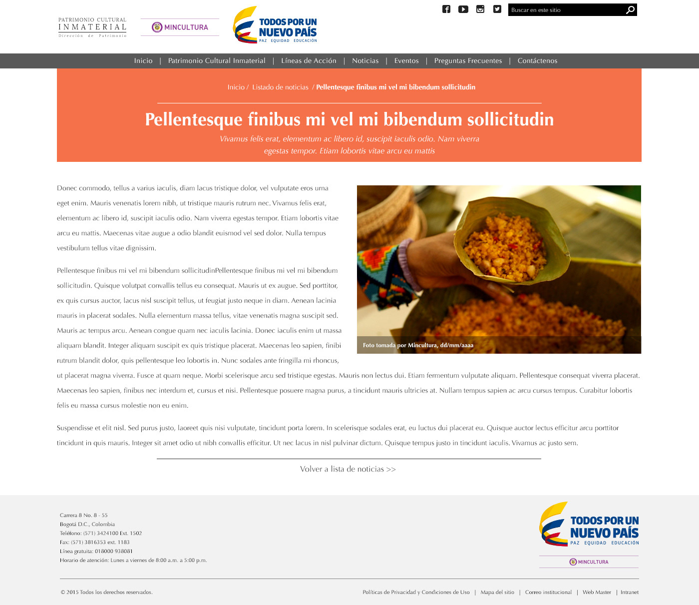 Contenido