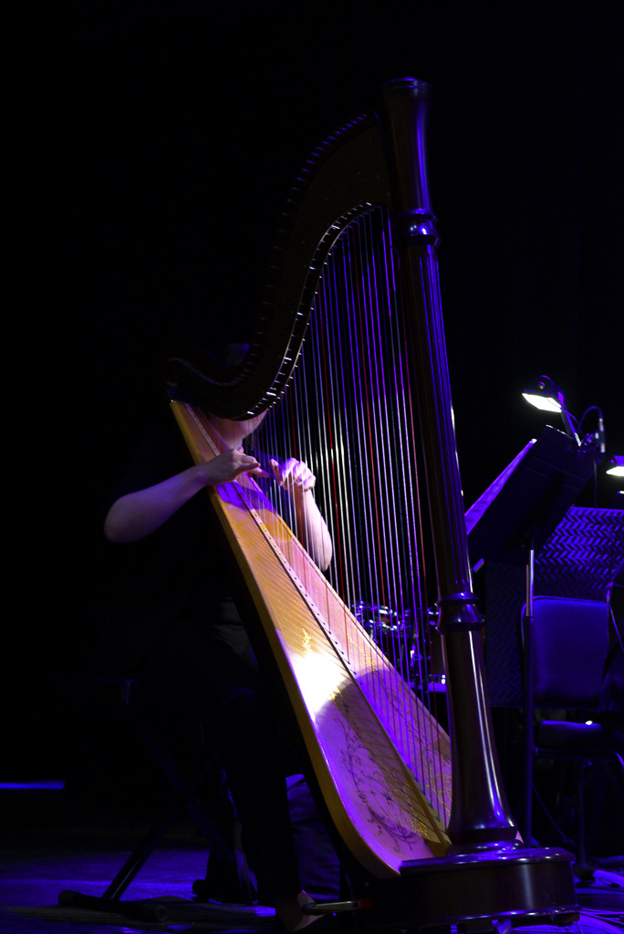 Caption: A harpist performs with a live symphony orchestra during a concert screening of "La La Land" at Meridian Hall in Toronto on Saturday, March 7, 2026. Local symphonic musicians were recruited to perform the Academy Award-winning score live alongside the film showing. Camera Settings: 1/30, ISO 800, f/4.0