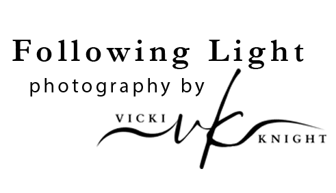 Following Light Photography