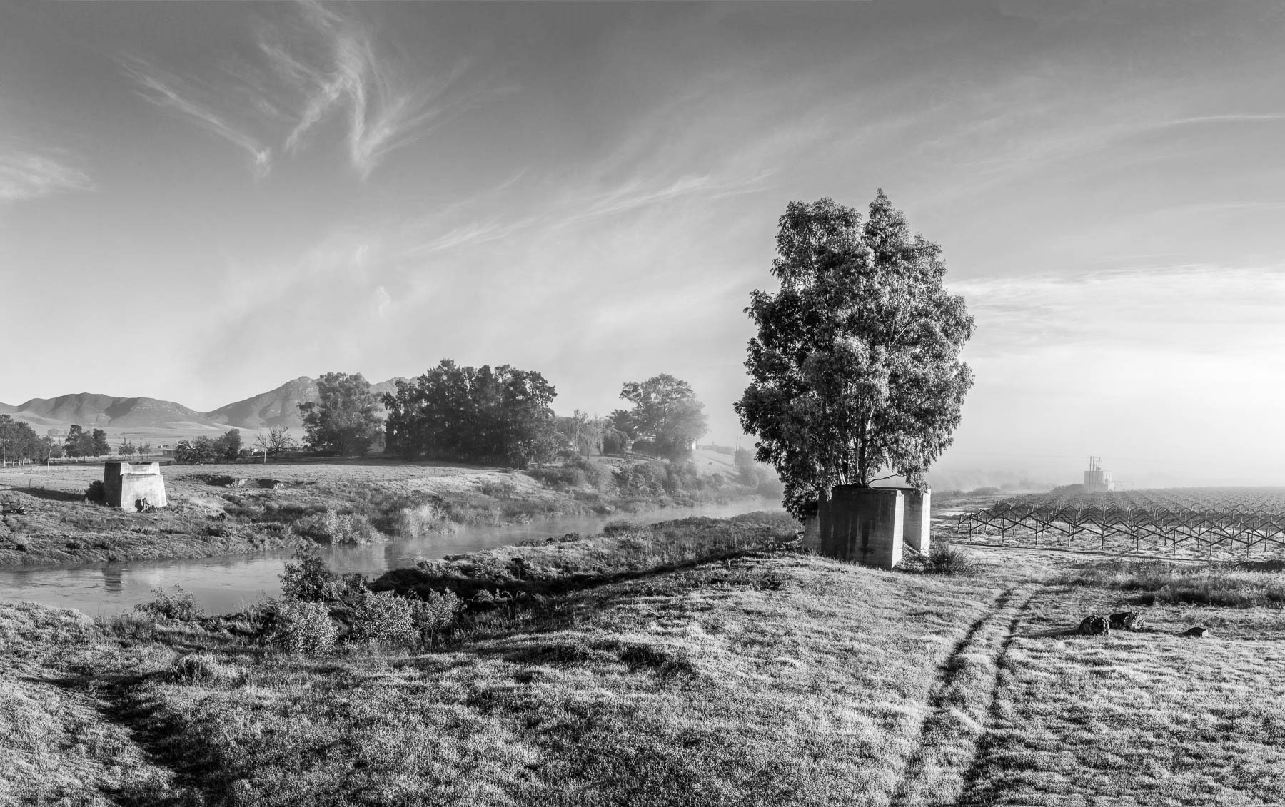 "Hermon Bridge"