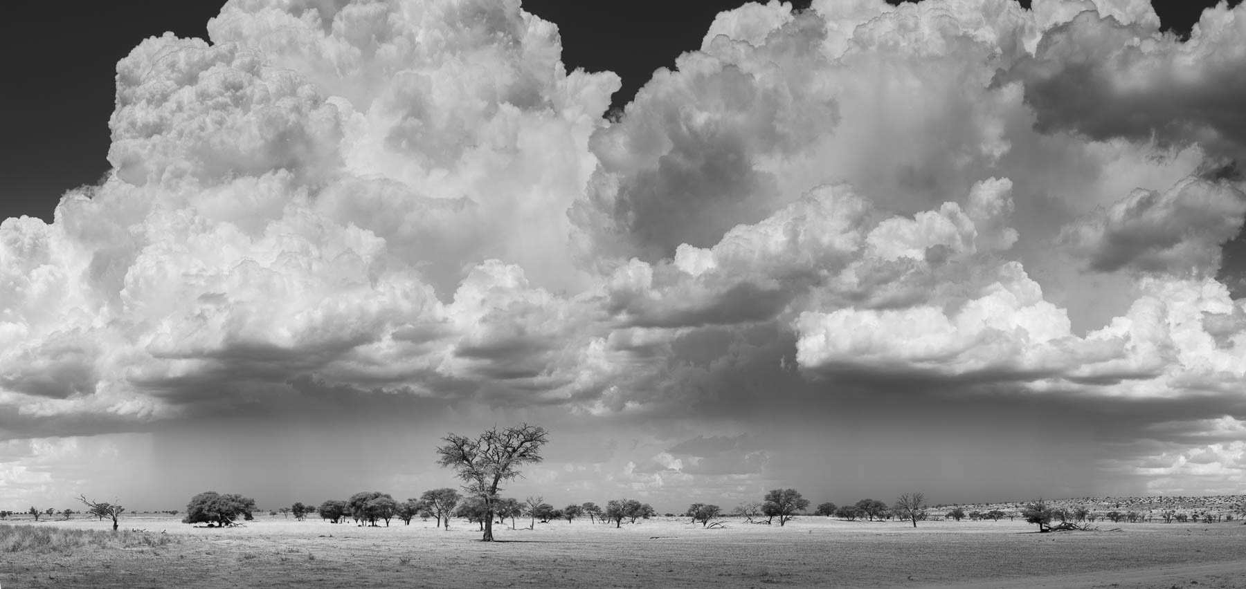 "Kalahari Clouds" - On The Road to Union's End.