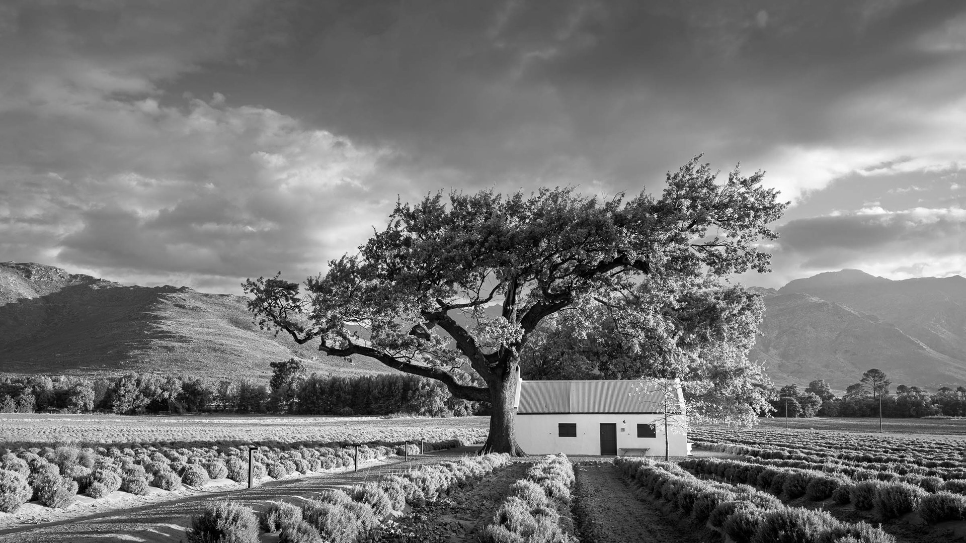 Franschhoek Cottage 2025