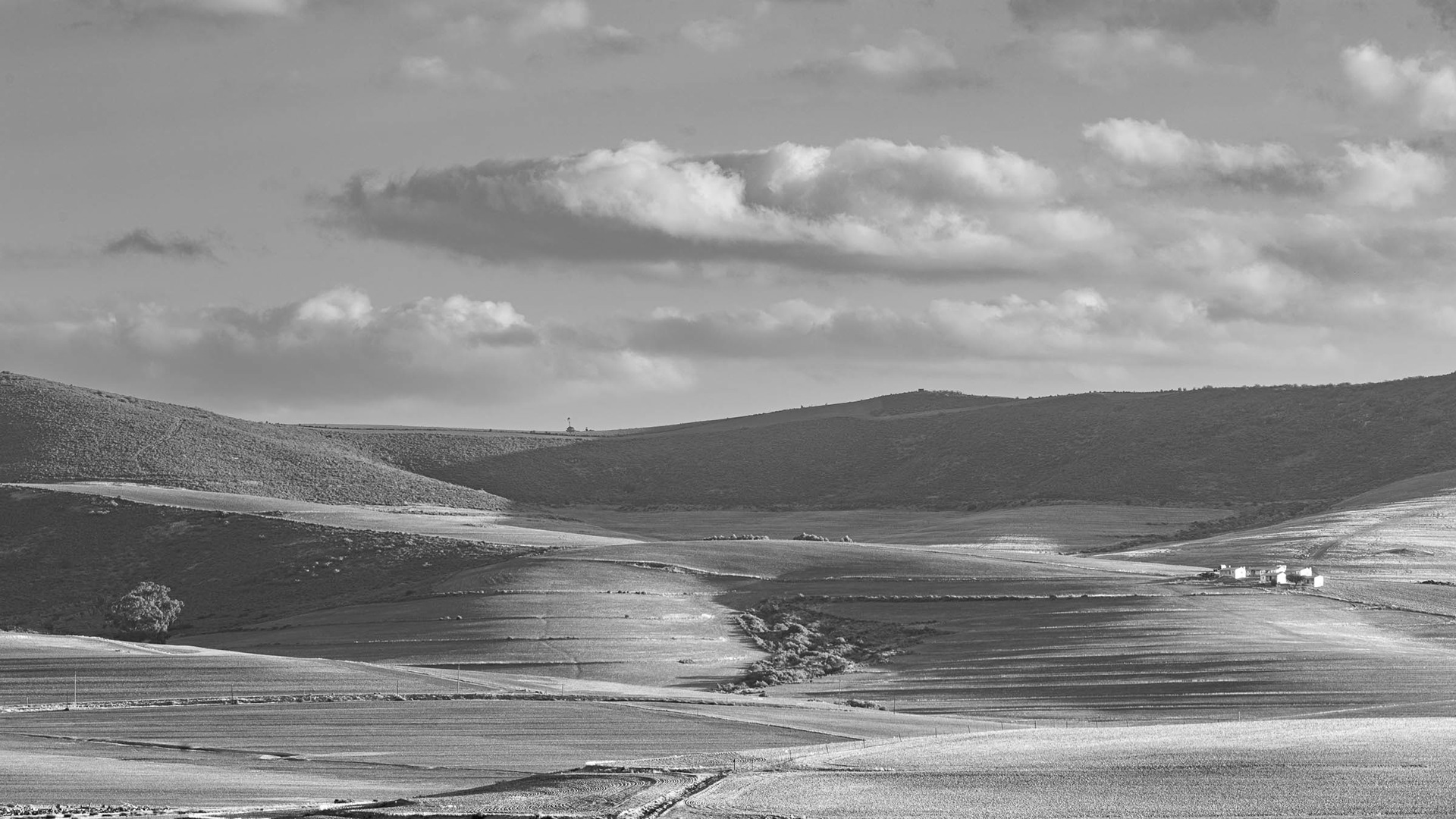 On The Road To Moorreesburg