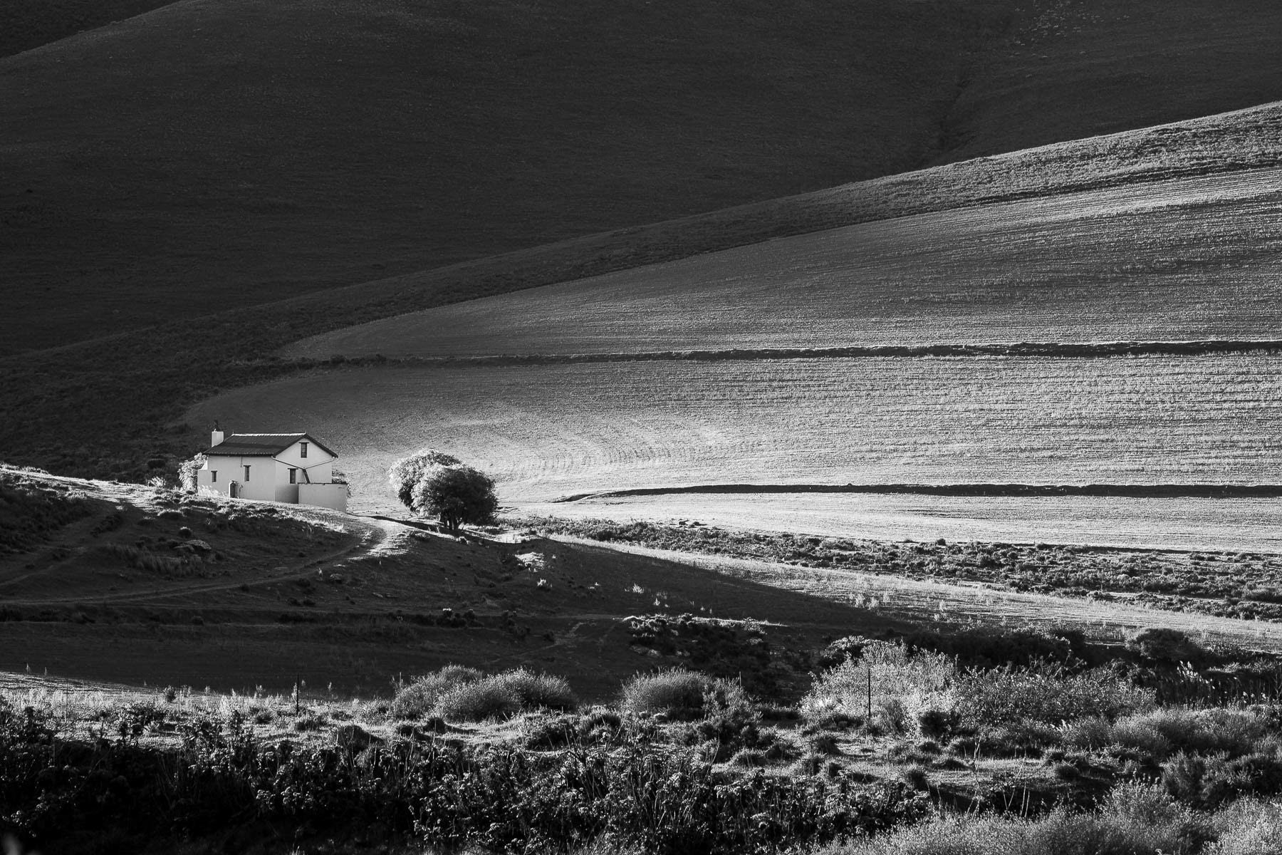 "Greyton Cottage"