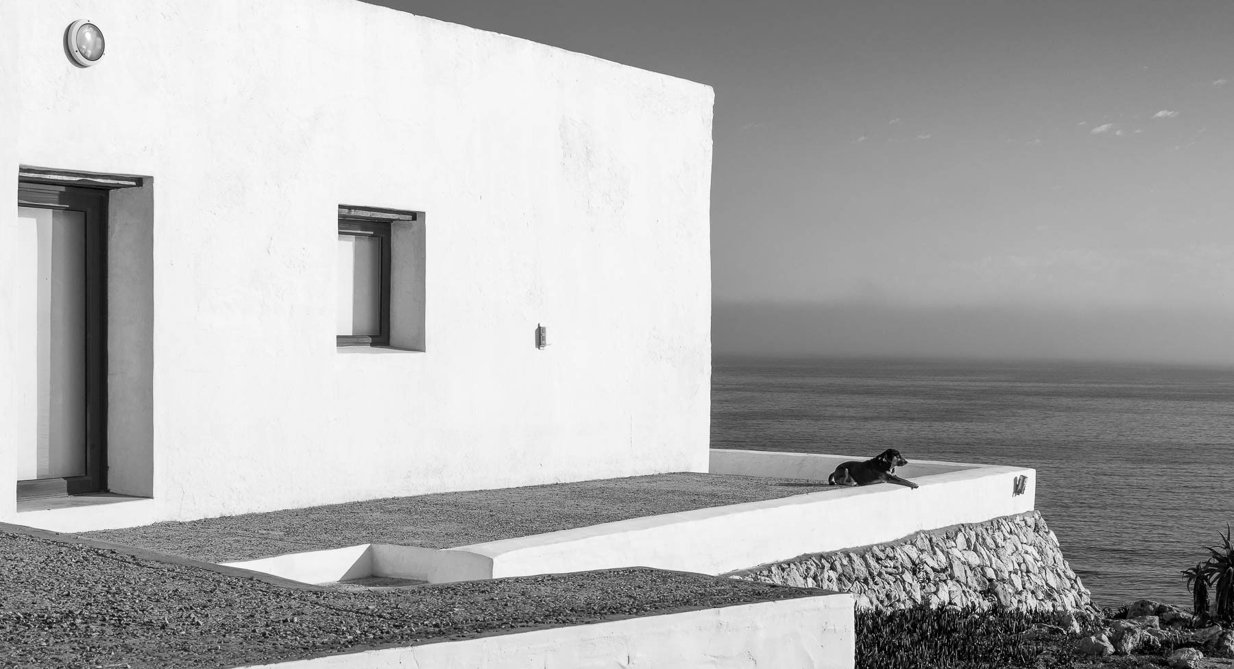 "The King of Paternoster"