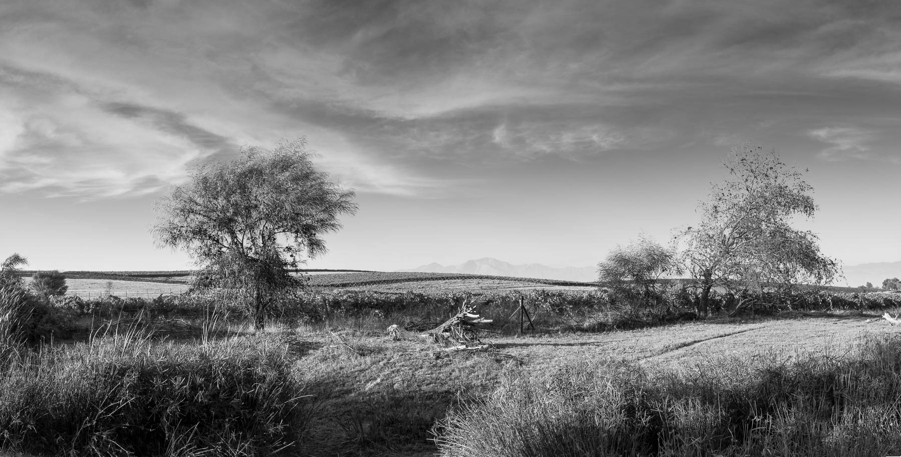 "At the Edge of the Village"