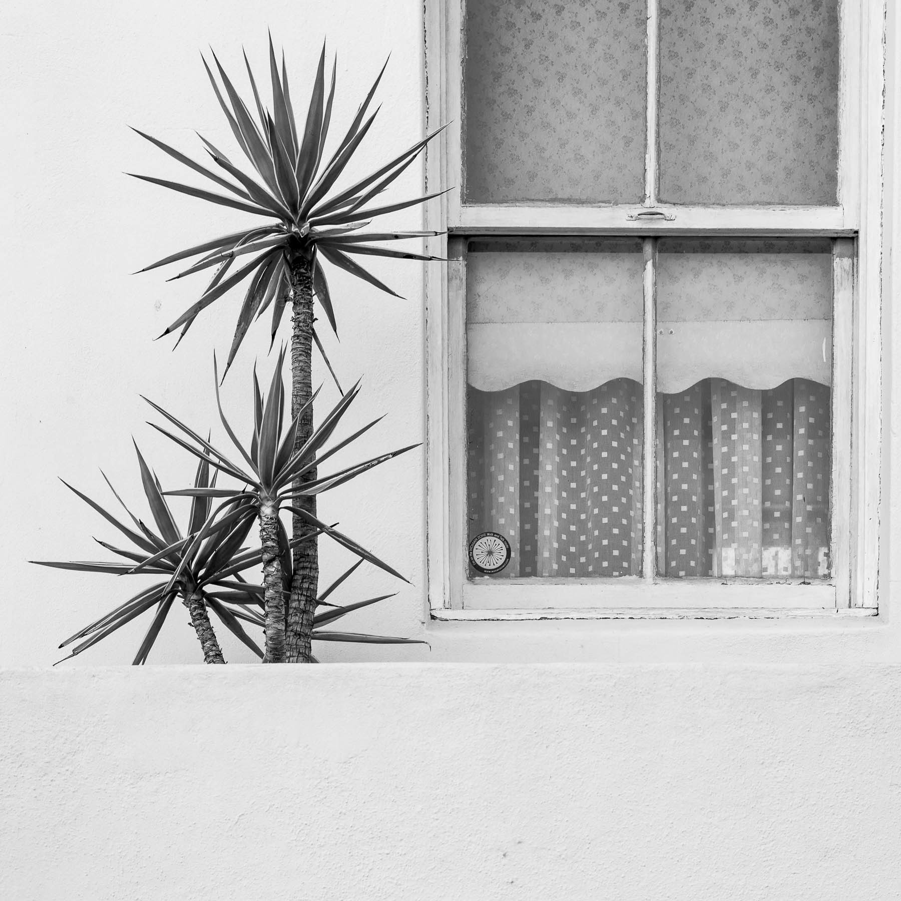 "Bo-Kaap"