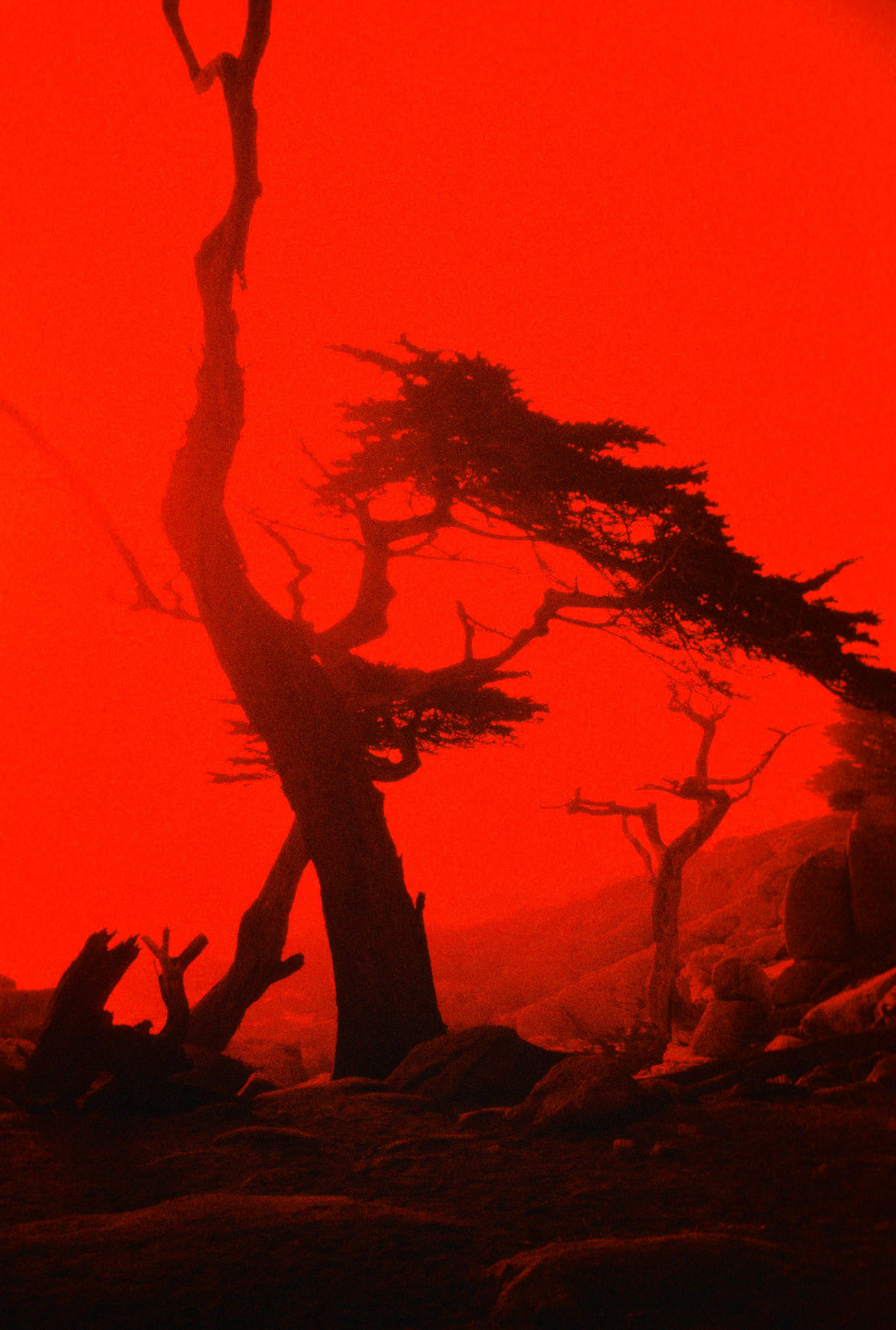Hell (Color Slide with a Red Filter) - 1976