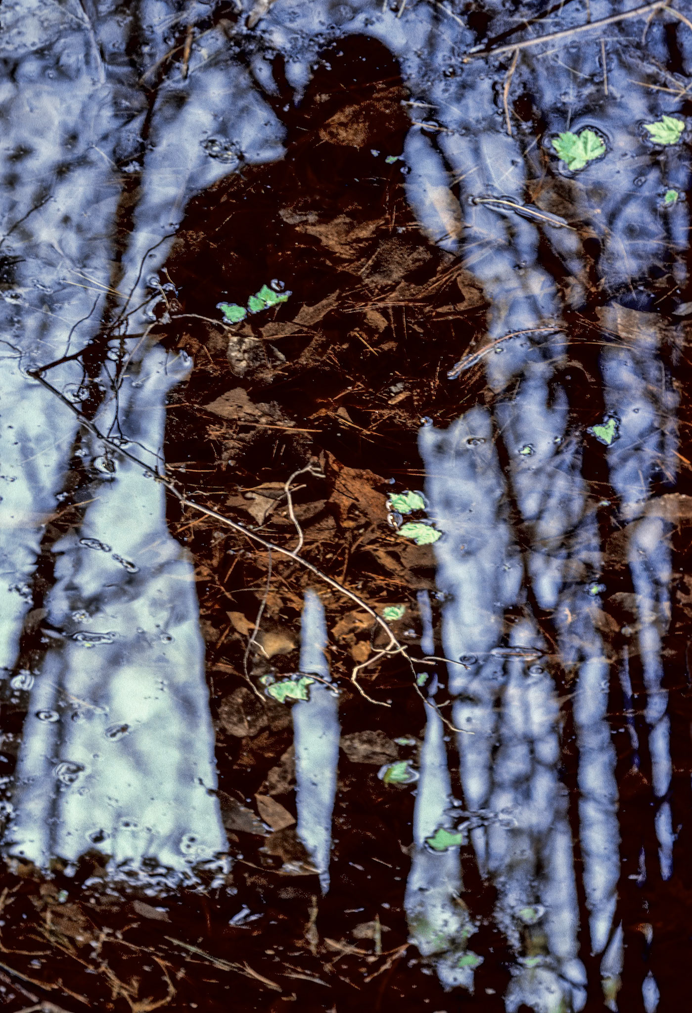 Anne's reflection in a puddle