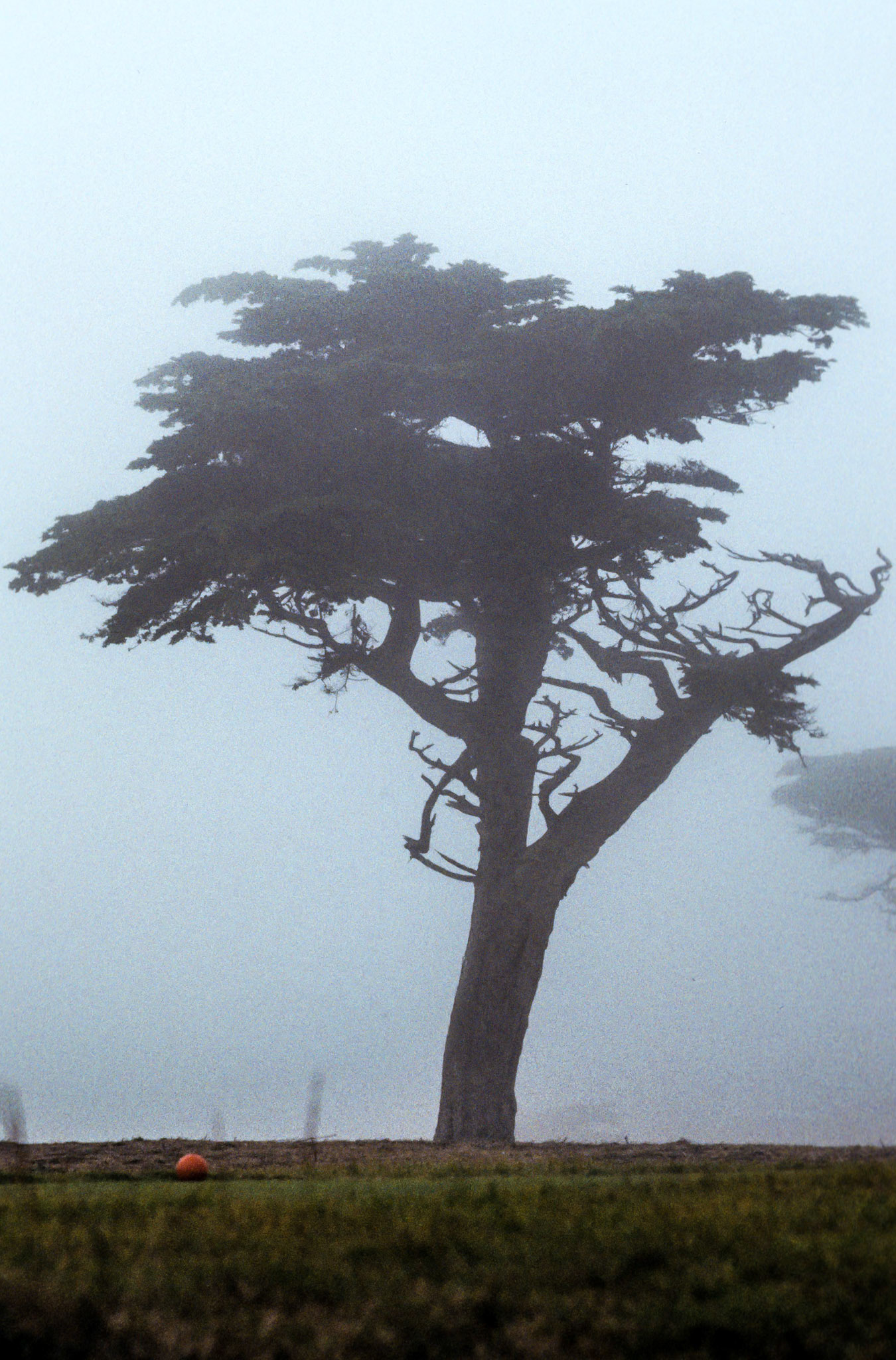 What's that red ball?