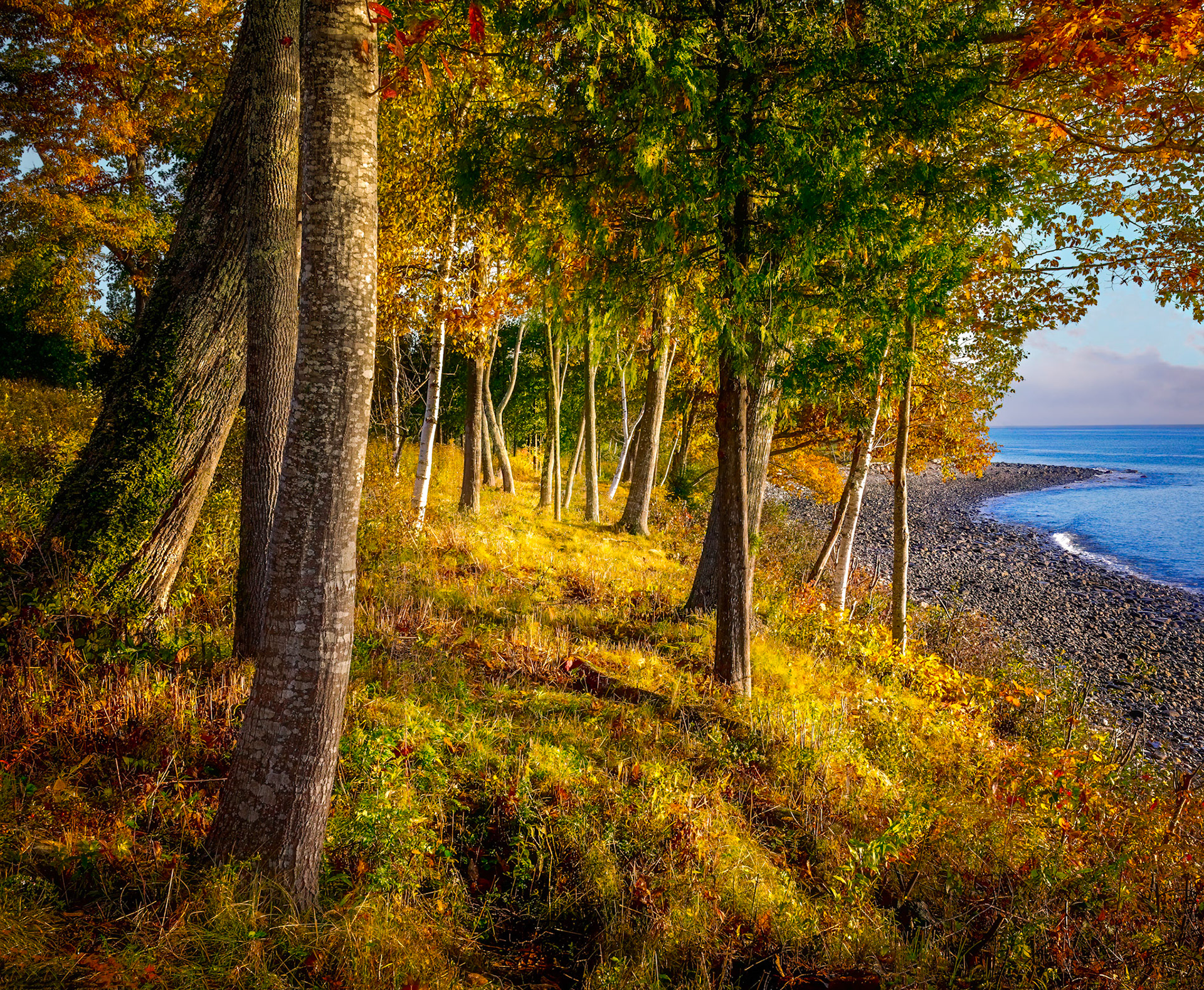 Morning Walk - Camden, Me