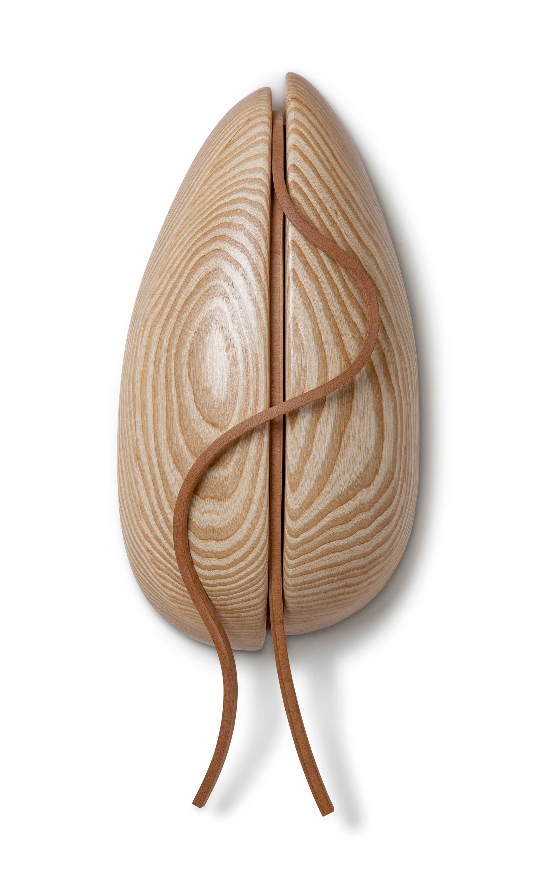 Germ  (2020, ash and beech, 21” x 9” x 5”)