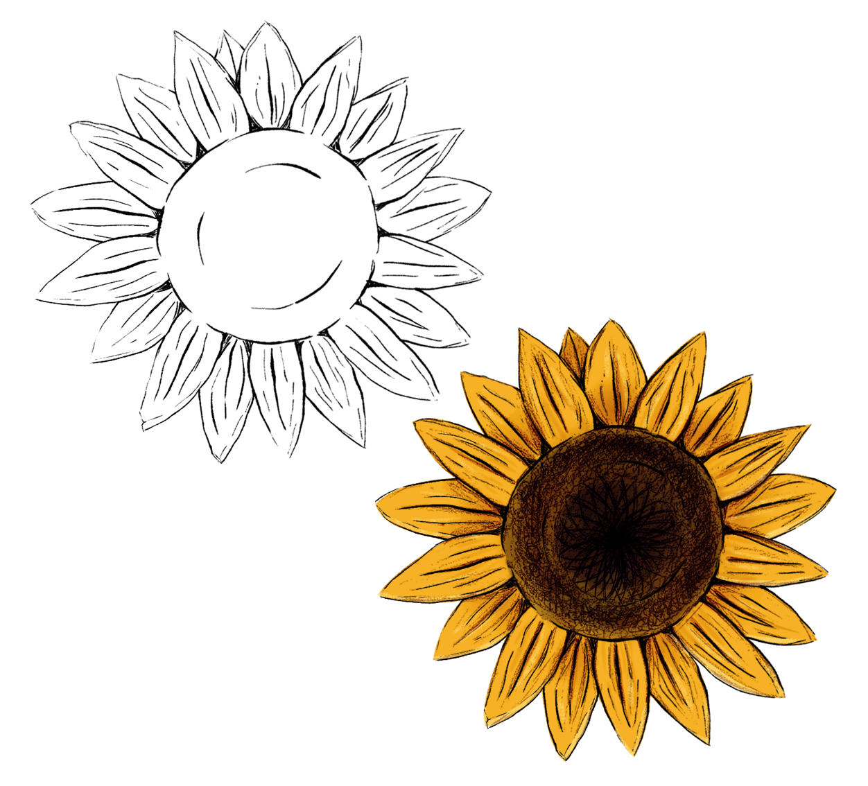 sunflower created as part of my wedding branding.