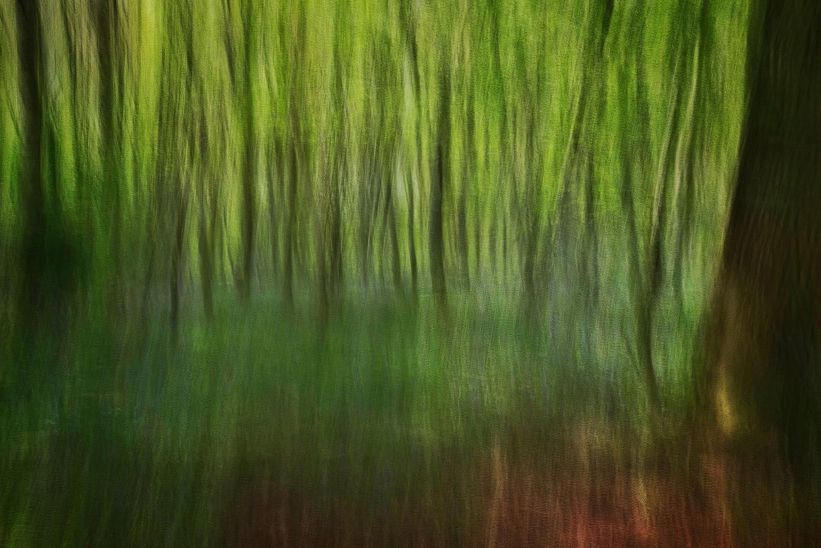 Andrew Webster ARPS_Woodland Greens