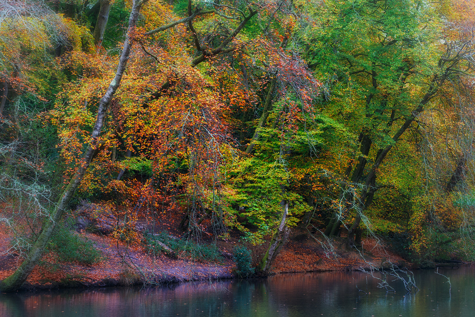 At the waters edge by David Balaam