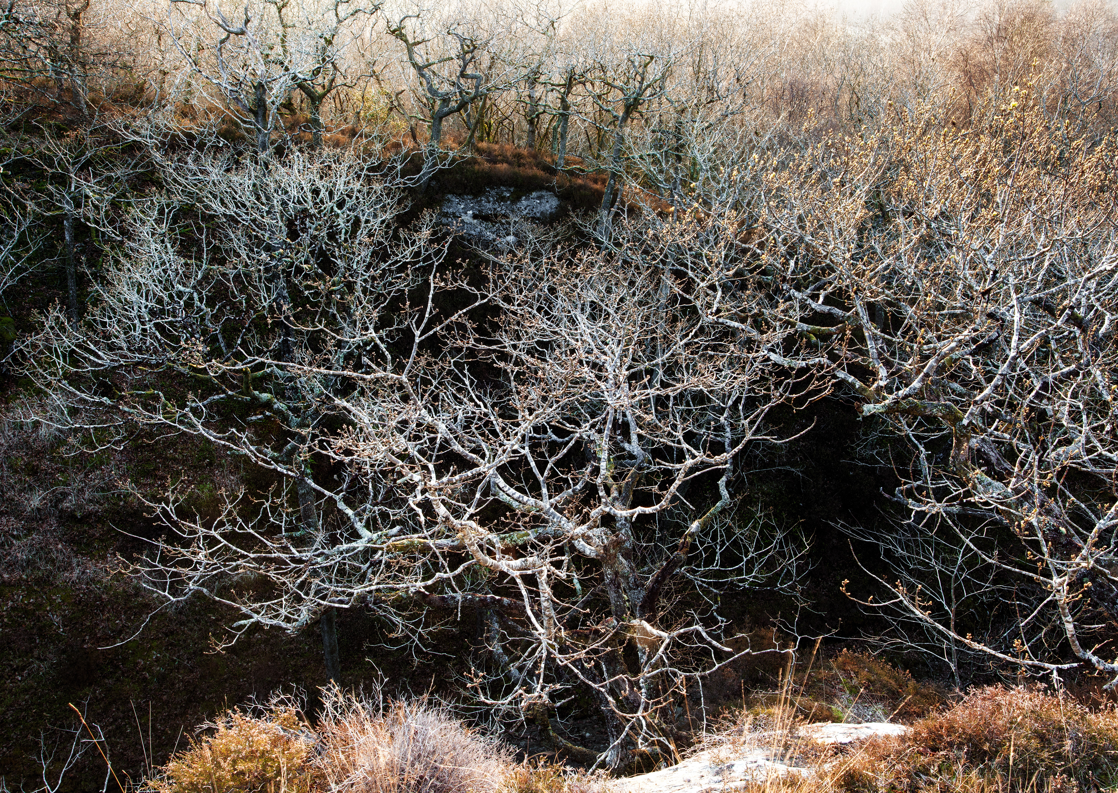 Above and Below by Stuart Burch