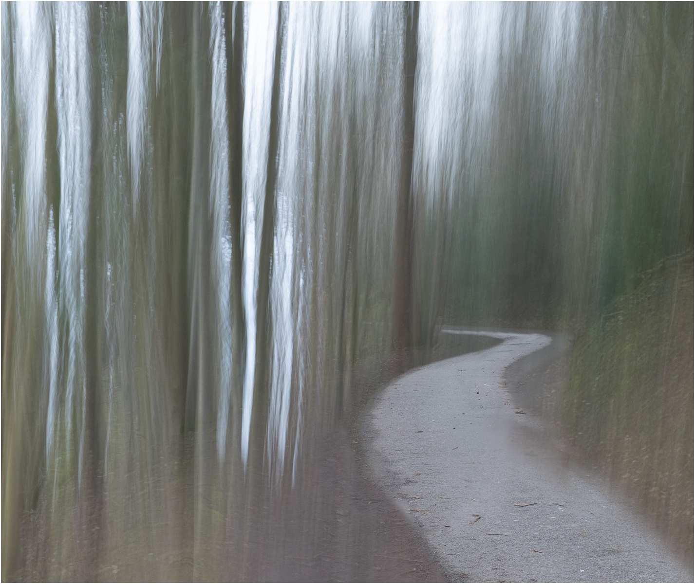 Siobhan Jarvis ARPS_Path