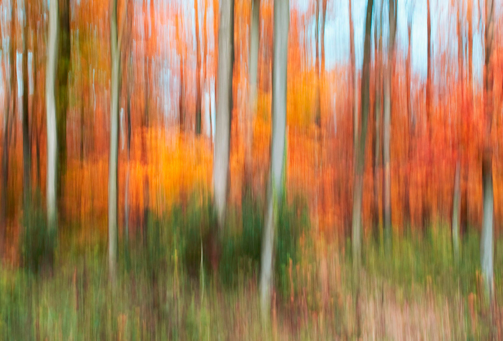 Edward Bennett LRPS_Autumn Blur