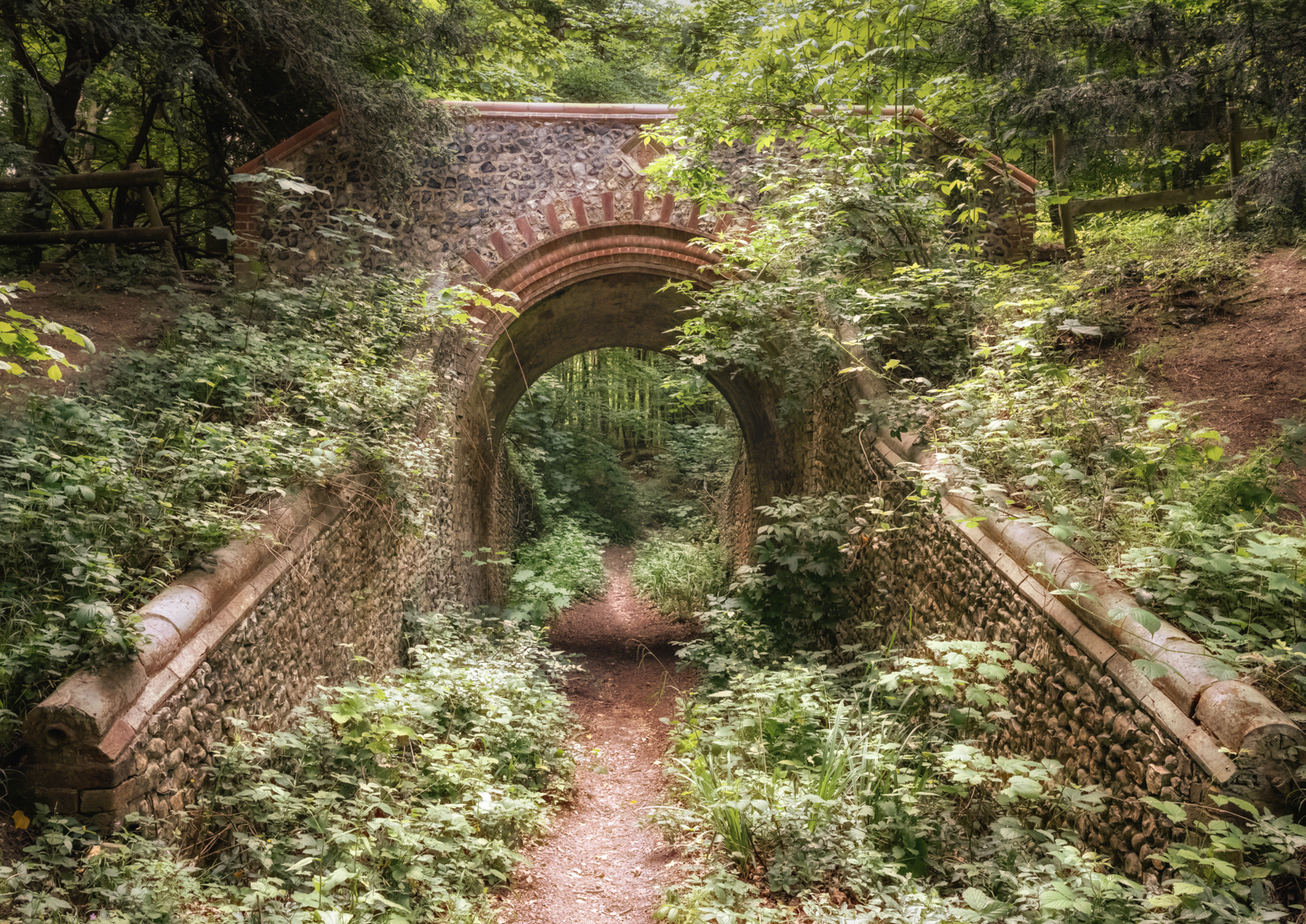 Richard Knapp LRPS_Woodland Bridge
