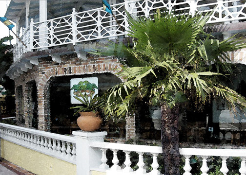 Palm Town