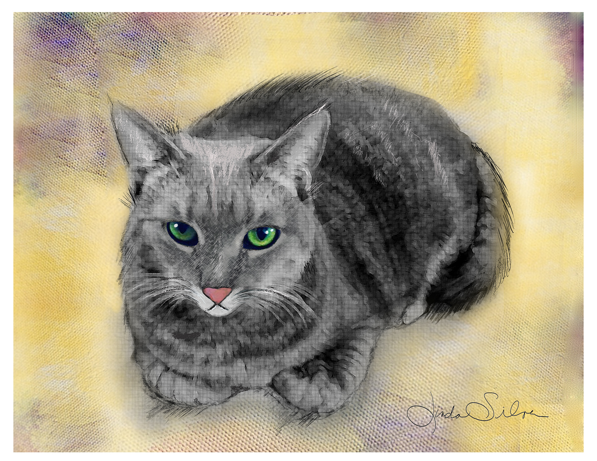 Chloe the Cat