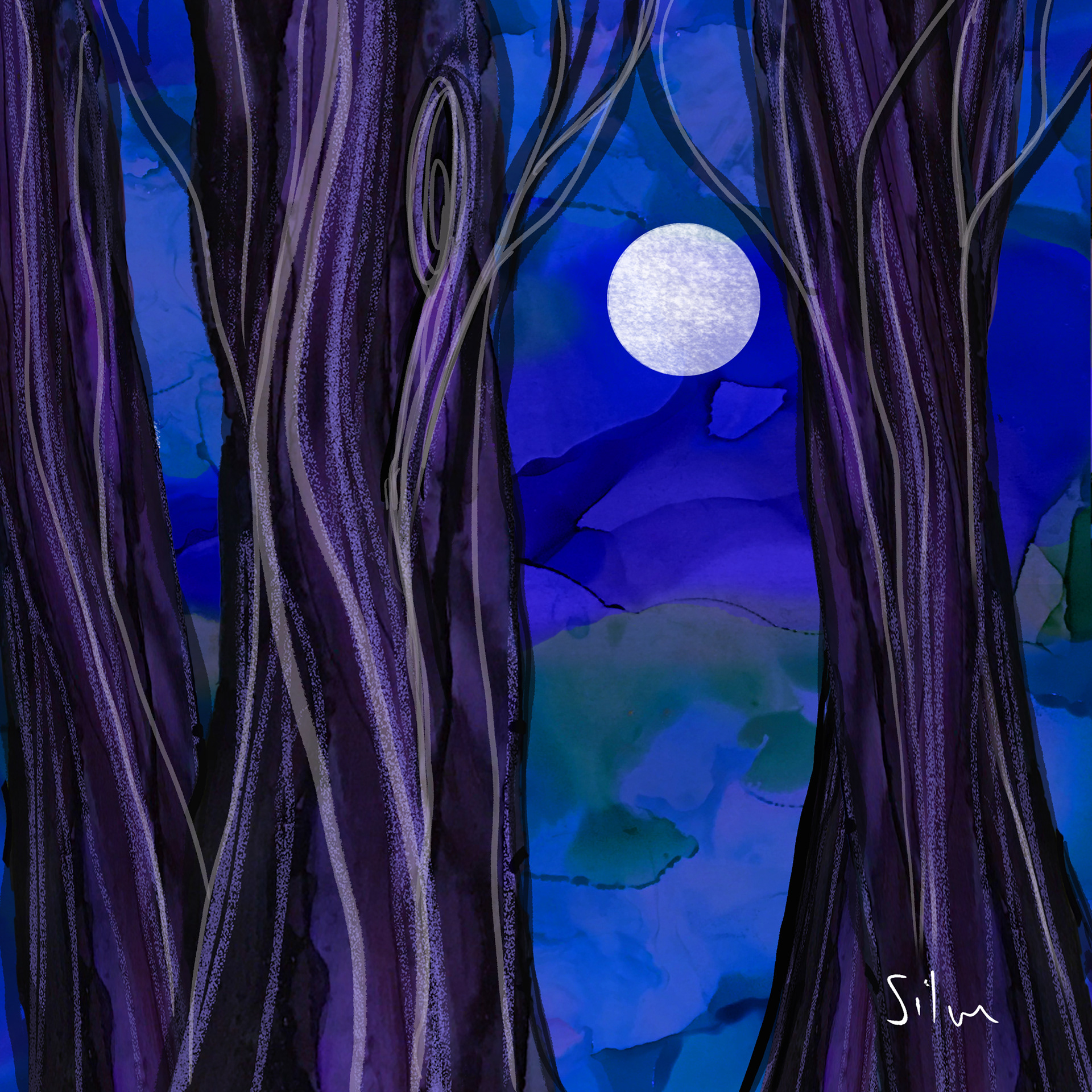 Night Sky