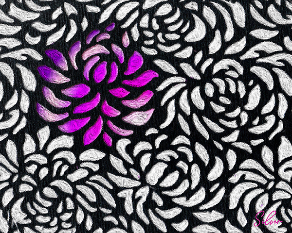 Black, White and Fuchsia