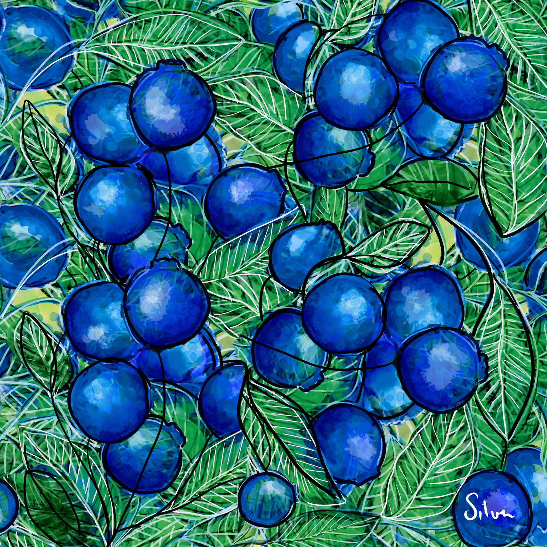 Grapes