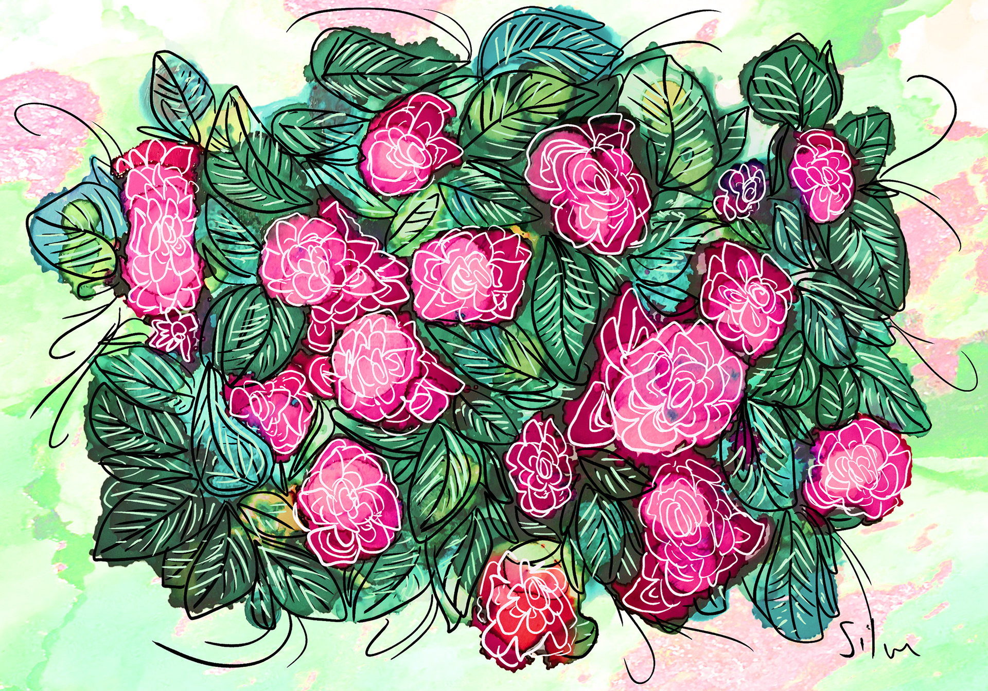 Climbing Roses